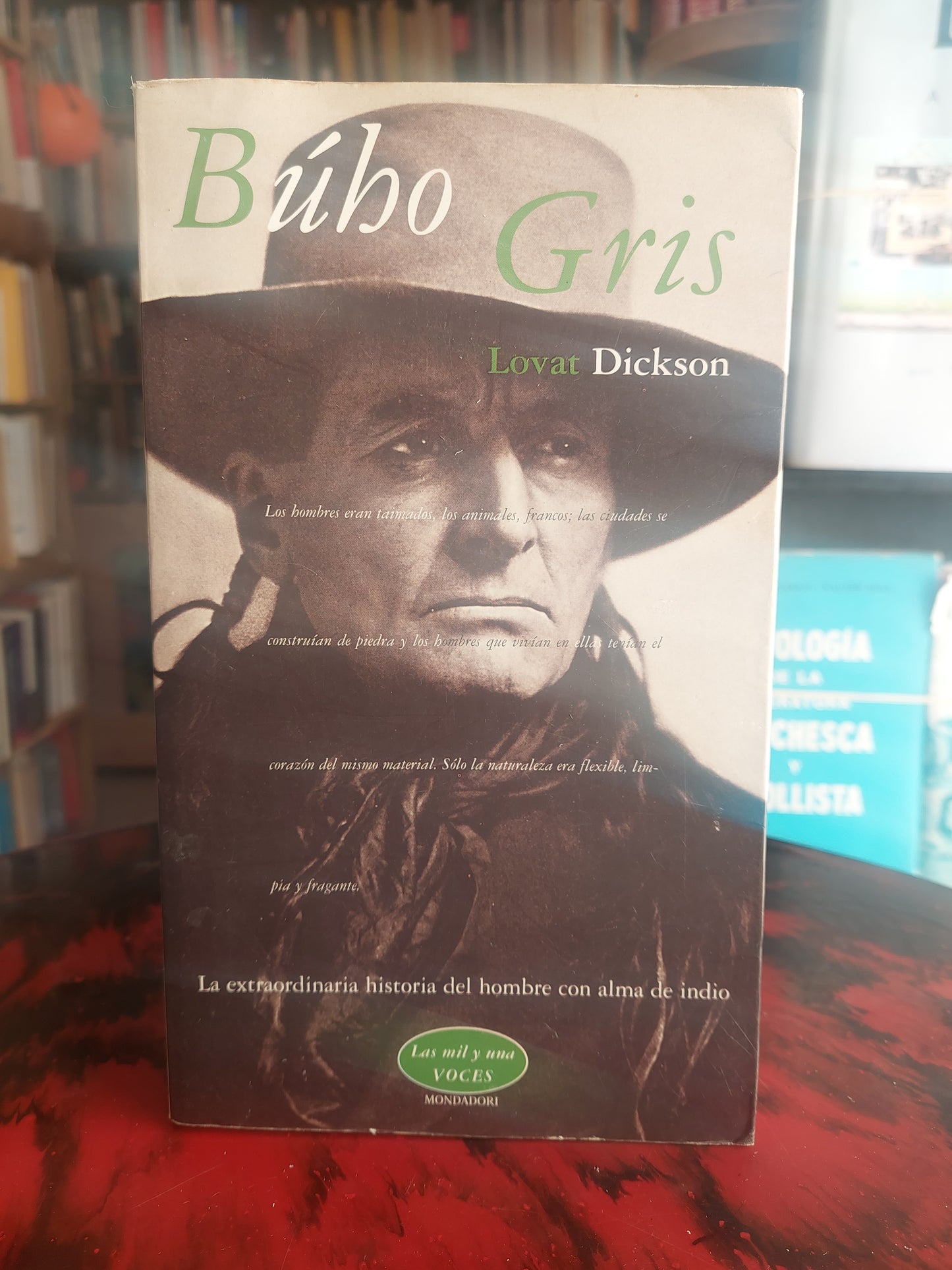 Búho gris - Lovat Dickson