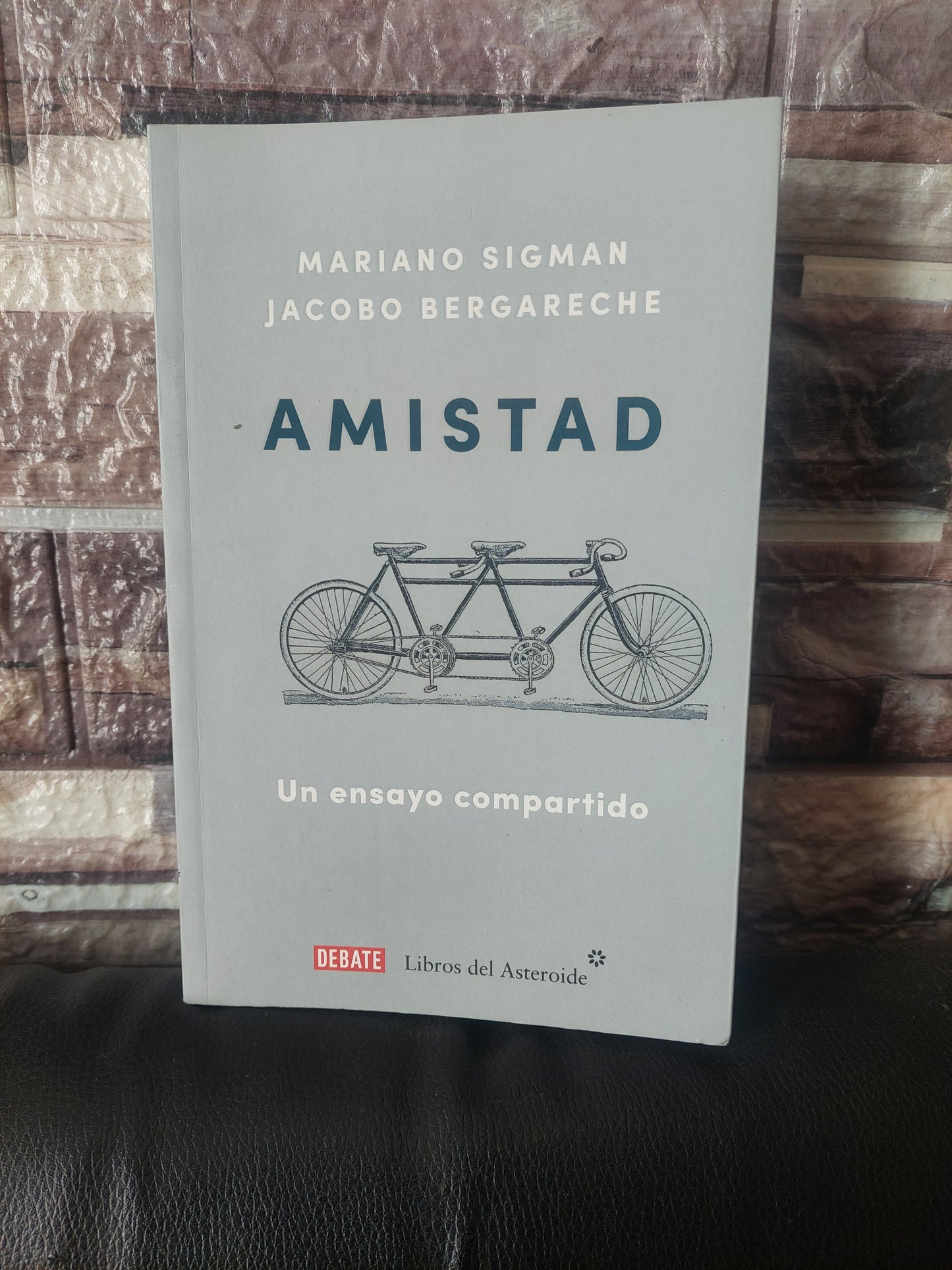 Amistad. Un ensayo compartido - Sigman y Bergareche