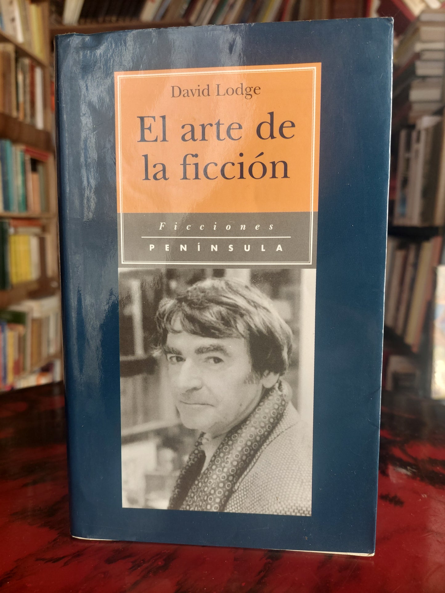 El arte de la ficción - David Lodge. Detalles de humedad en las primeras páginas
