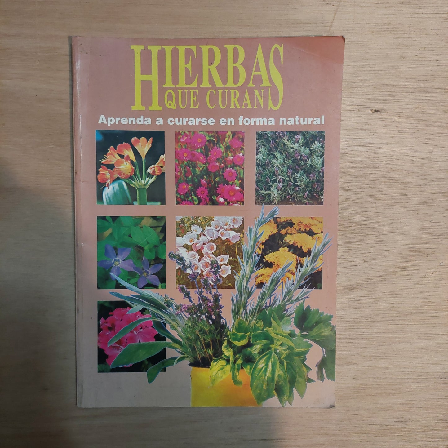 Hierbas que curan