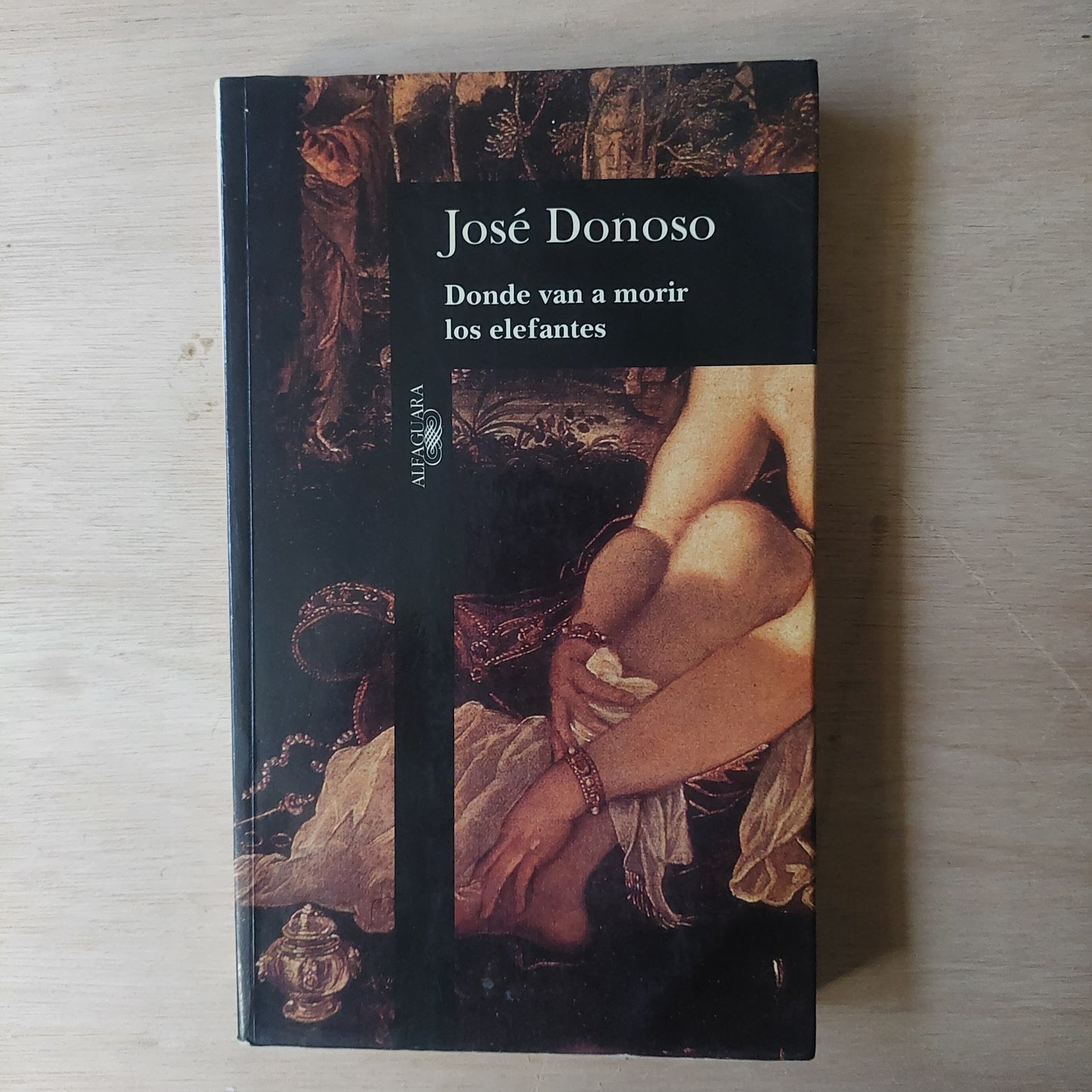 Donde van a morir los elefantes - José Donoso