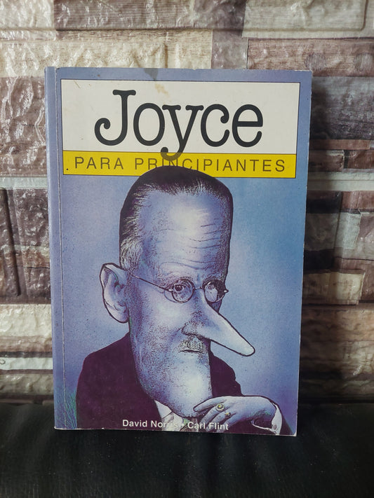 Joyce para principiantes