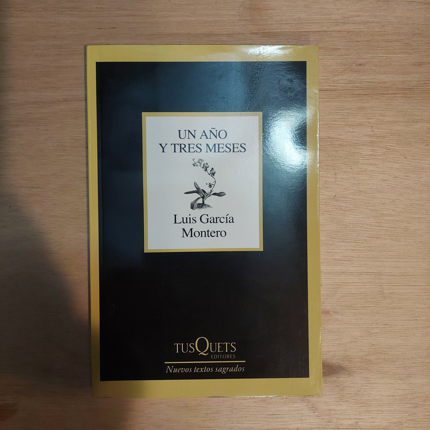 Un año y tres meses - Luis García Montero (nuevo)