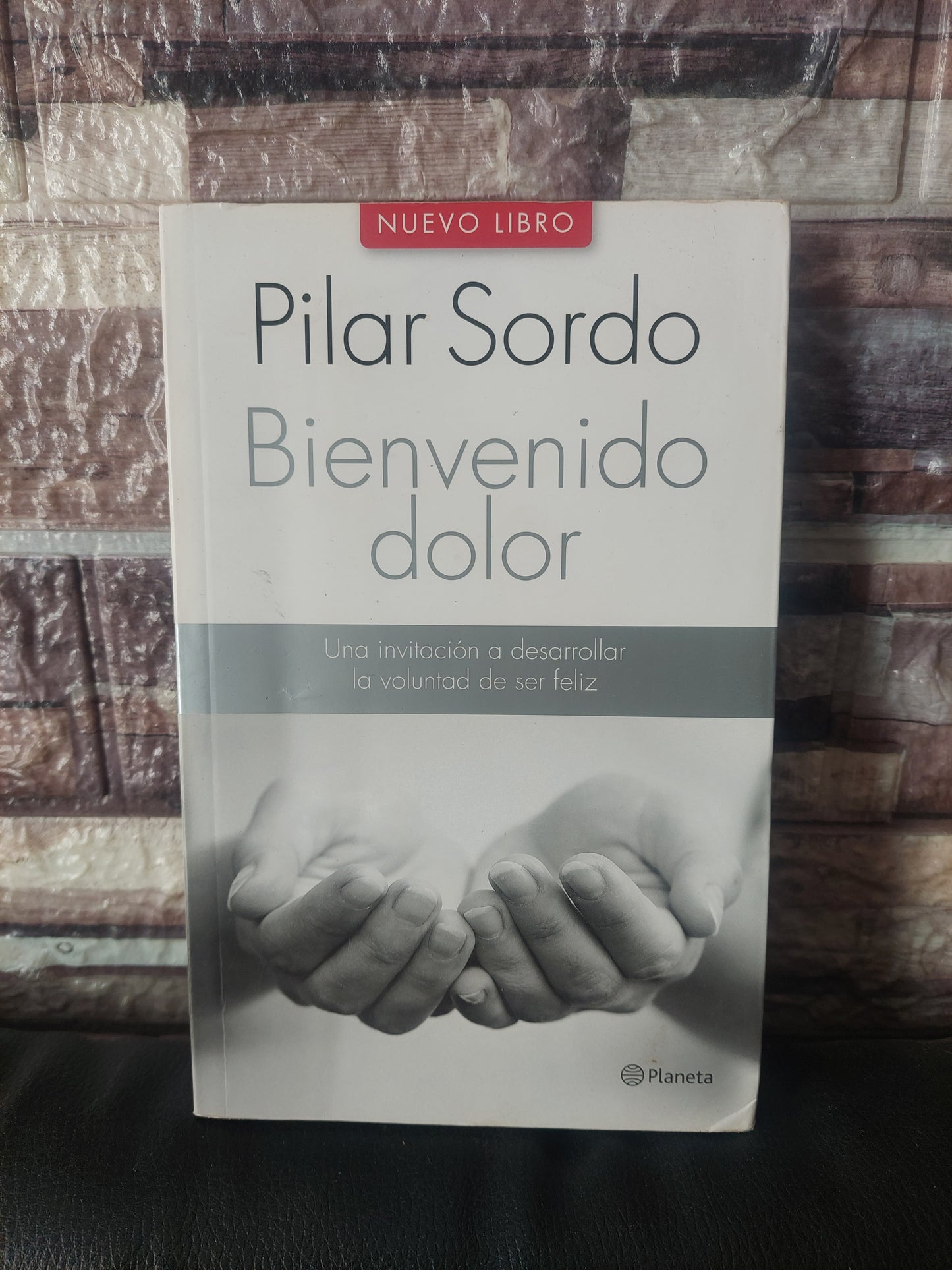 Bienvenido al dolor - Pilar Sordo