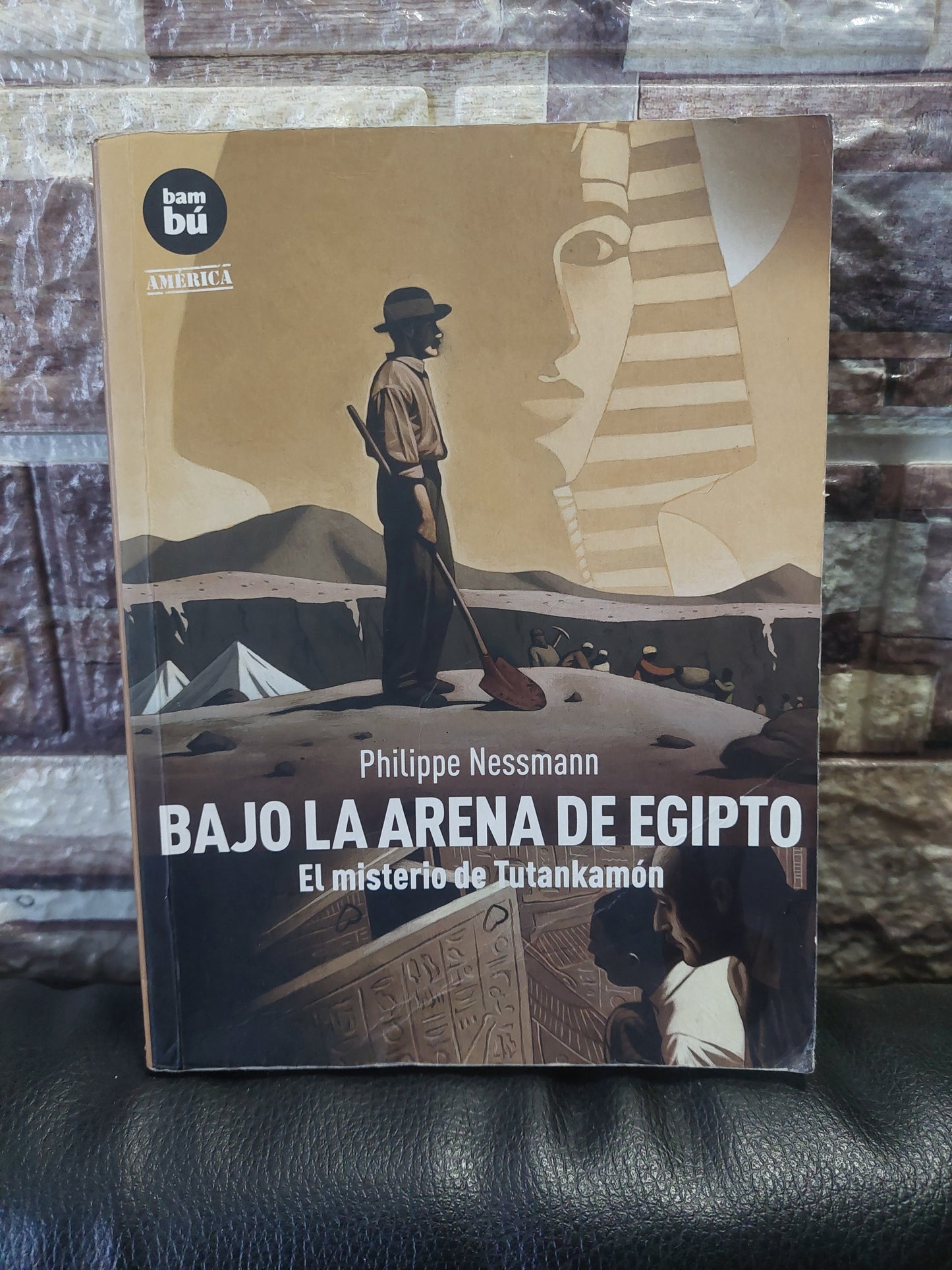 Bajo la arena de Egipto - Philippe Nessmann