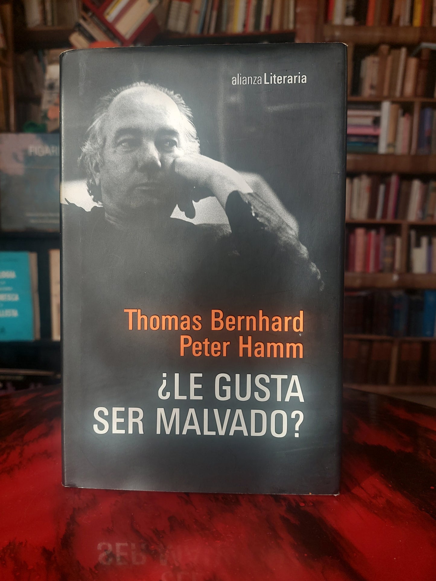 ¿Le gusta ser malvado? - Thomas Bernhard y Peter Hamn