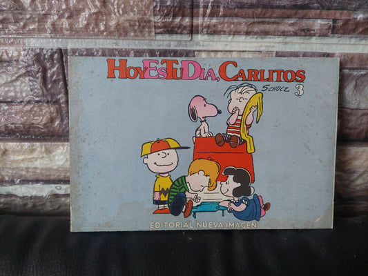 Hoy es tu día, Carlitos - Schulz