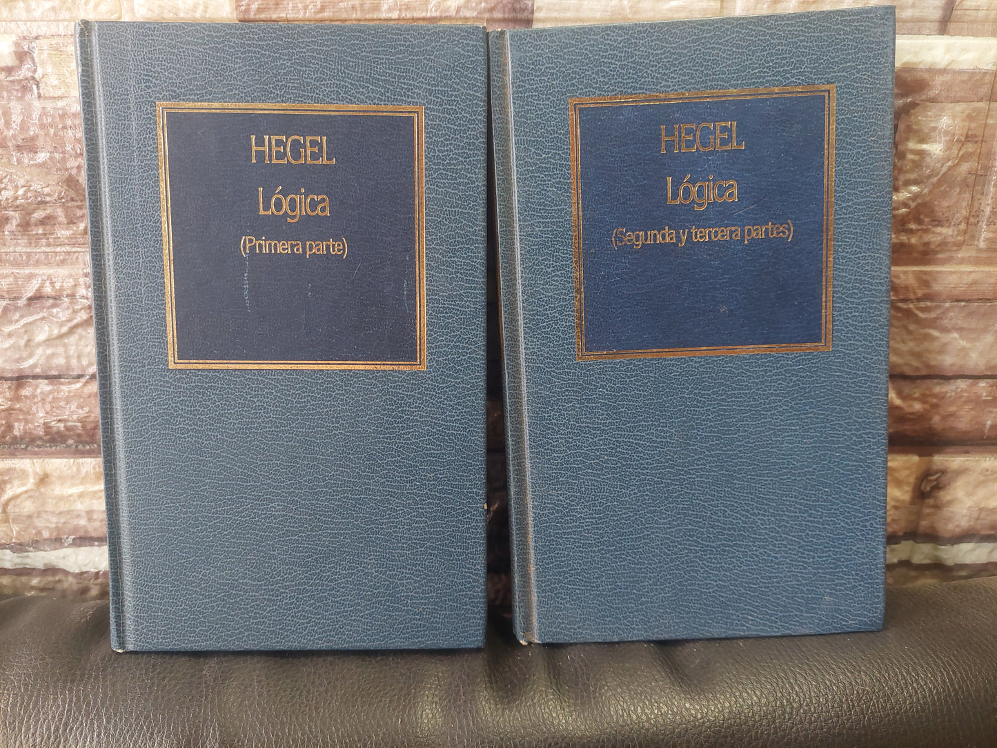 Lógica Hegel