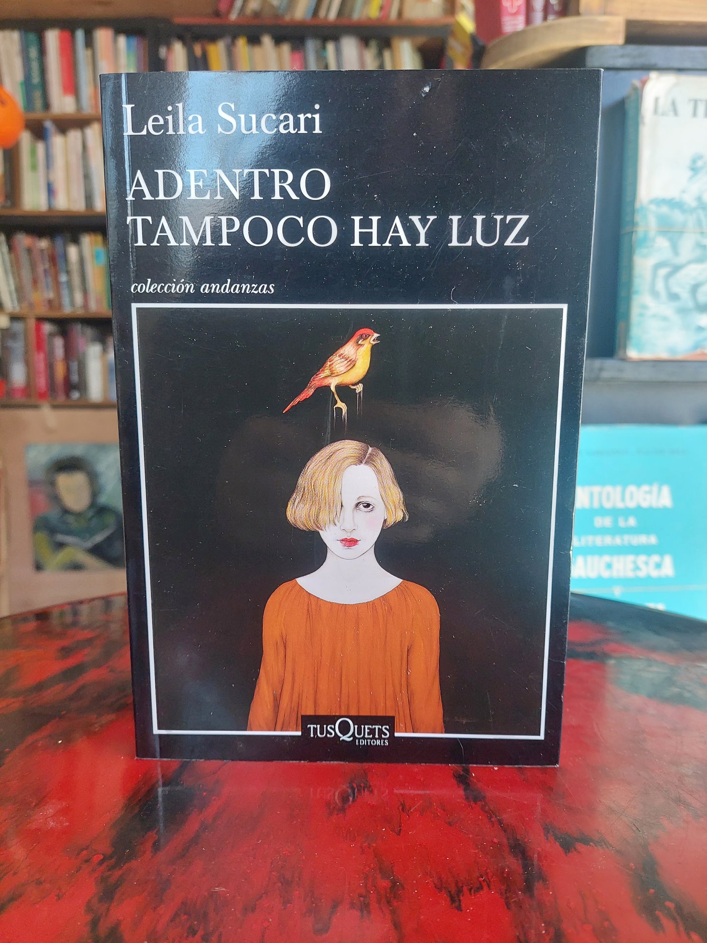 Adentro tampoco hay luz - Leila Sucari (nuevo)