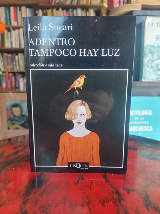 Adentro tampoco hay luz - Leila Sucari (nuevo)