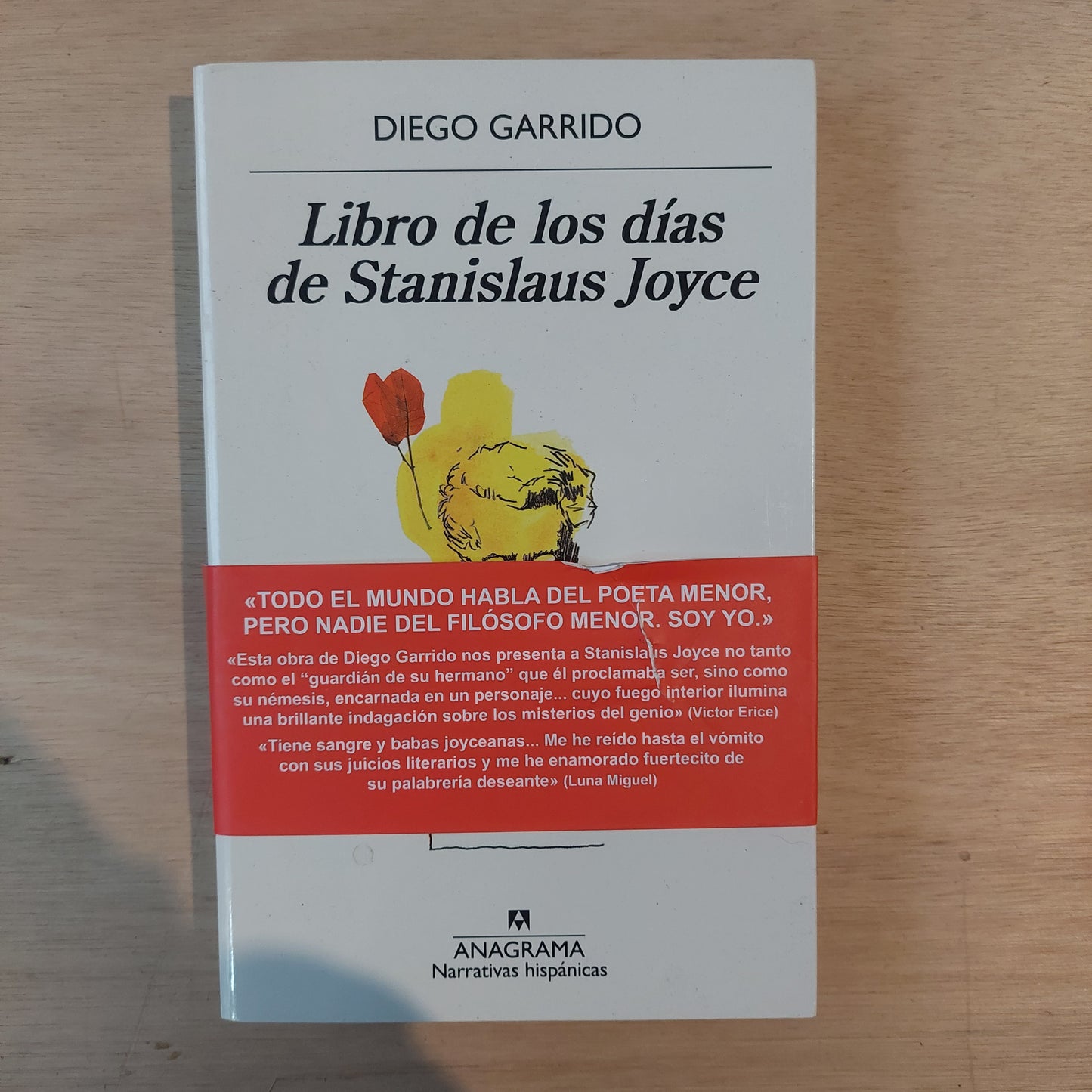 Libro de los días de Stanislaus Joyce - Diego Garrido (como nuevo)