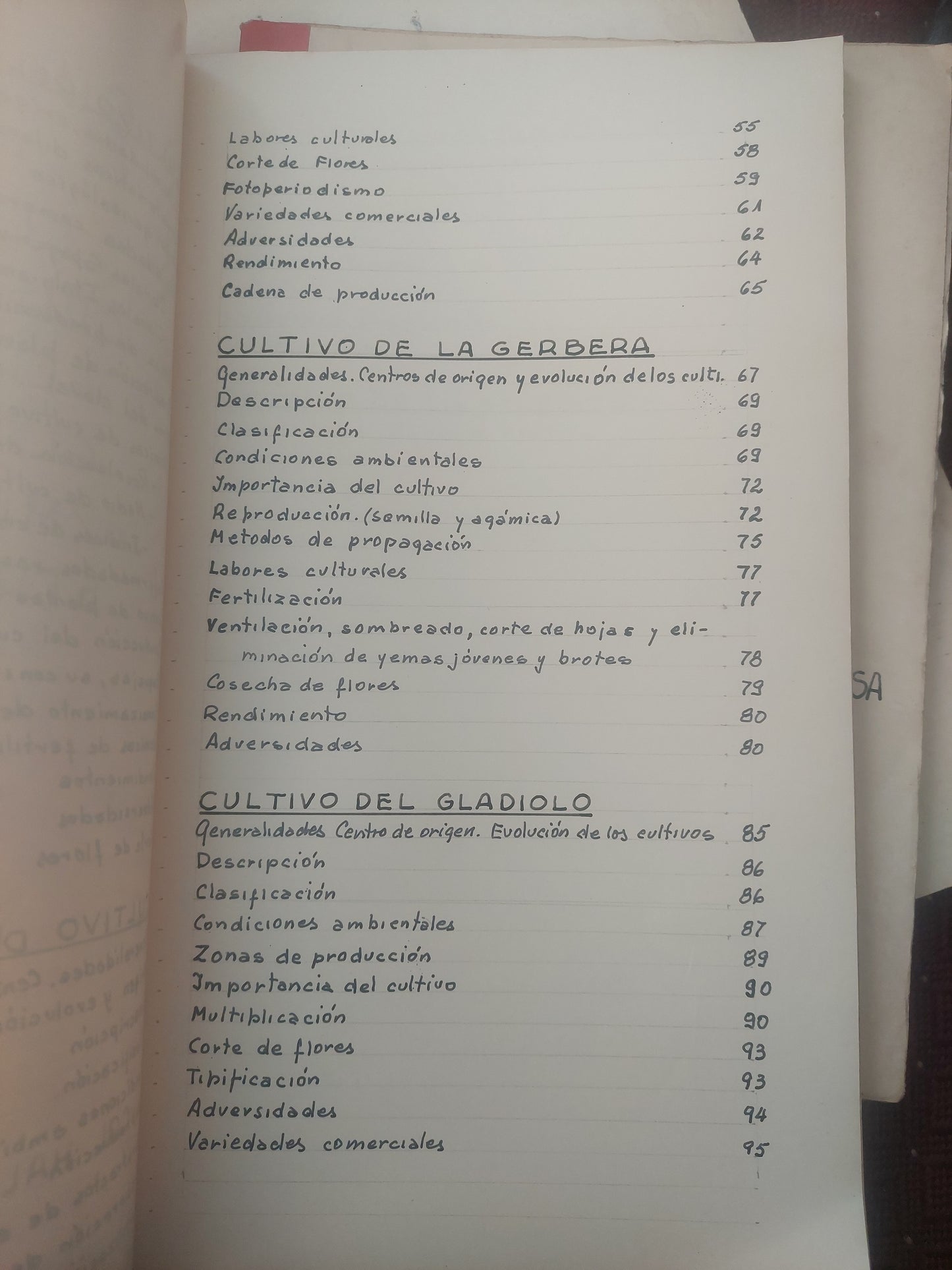 Cultivos de clavel, crisantemo, gerbera, gladiolo, jazmín del cabo, strelitzia - ING Agr Carlos López Sosa