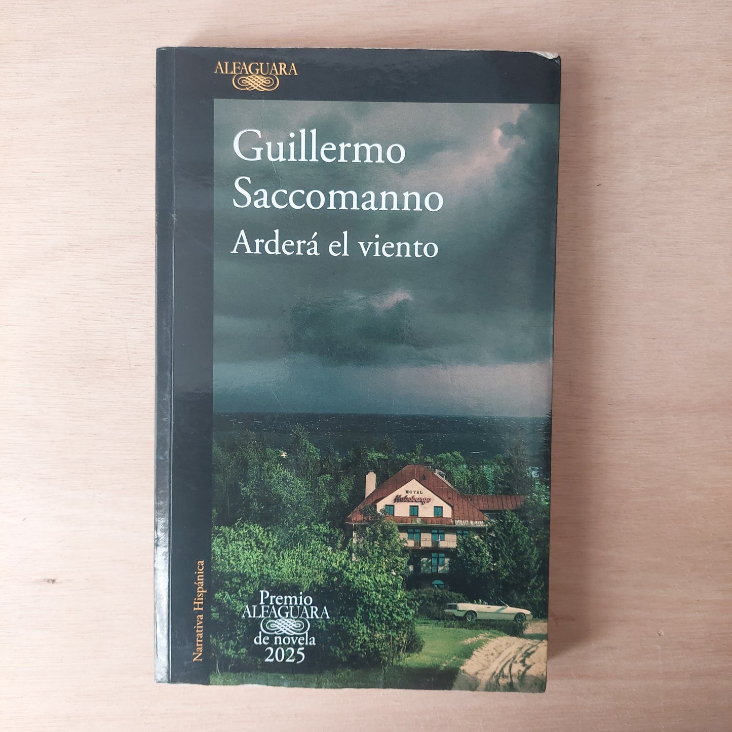 Arderá el viento - Guillermo Saccomanno