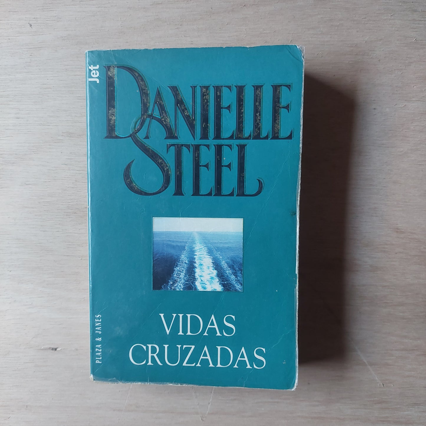 Vidas cruzadas - Danielle Steel