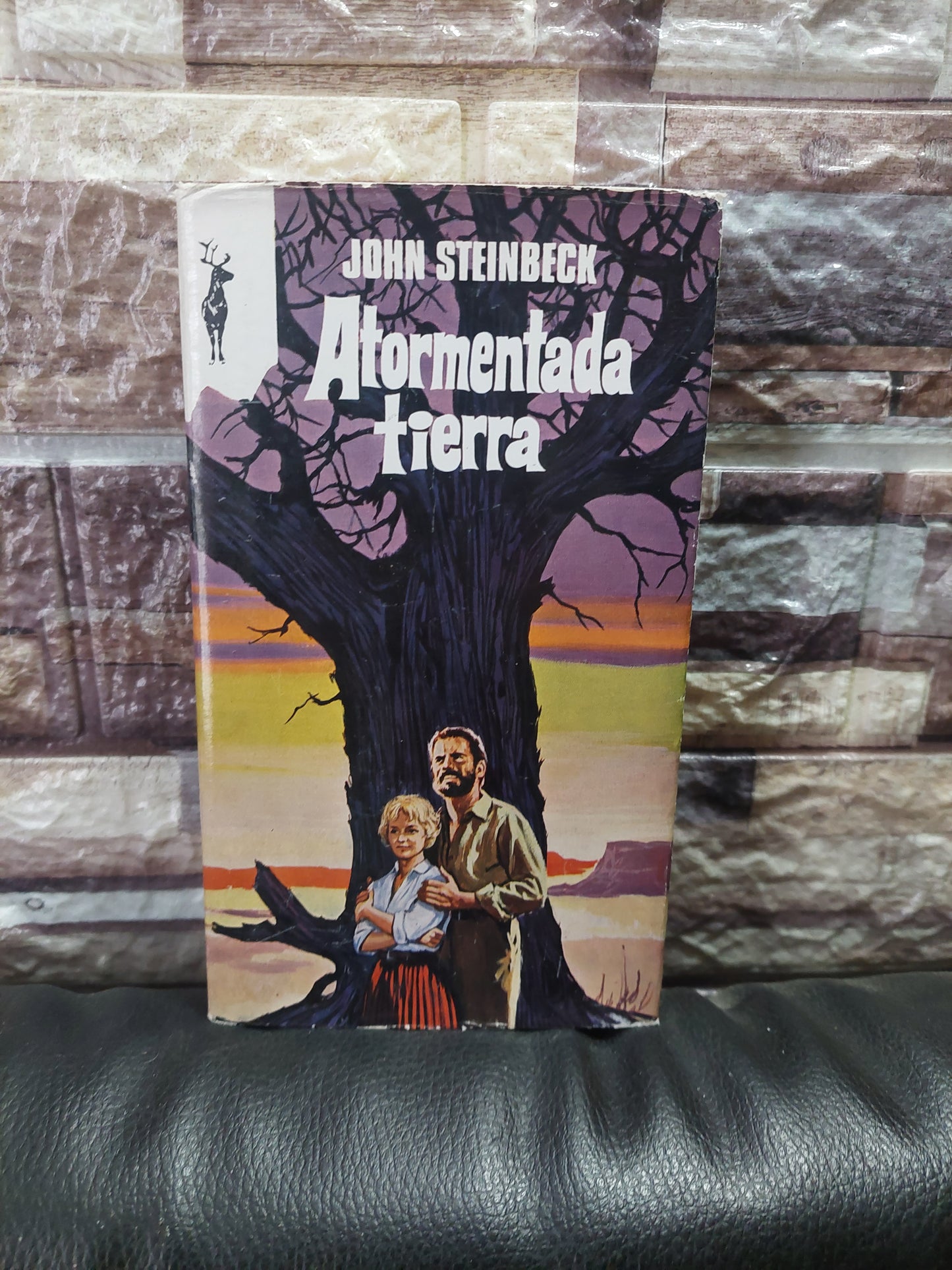 Atormentada tierra - John Steinbeck