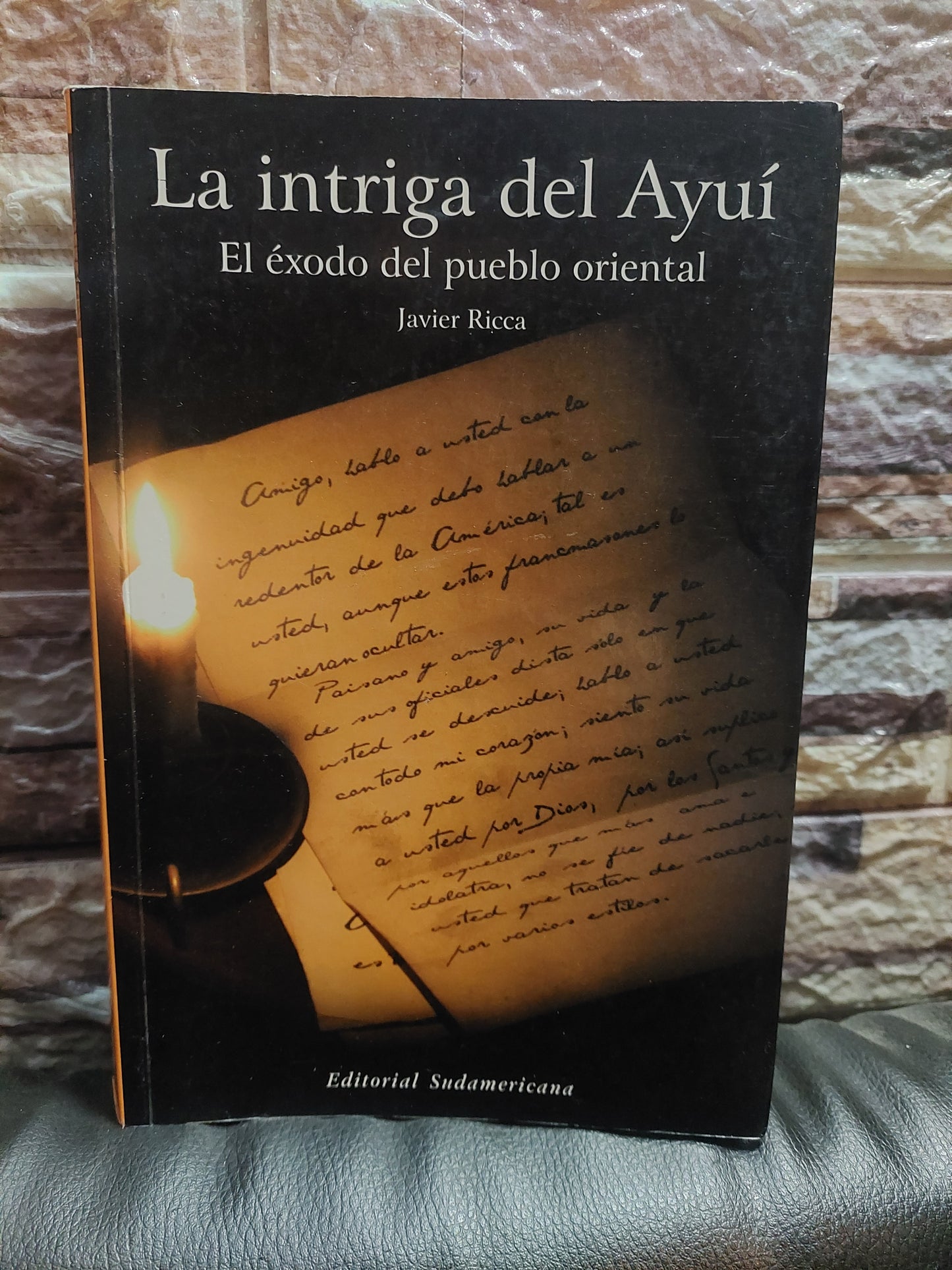 La intriga del Ayuí - Javier Ricca