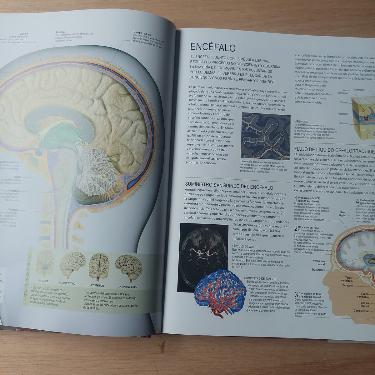 Cuerpo humano. Una guía ilustrada de sus estructuras, funciones y trastornos (con CD)