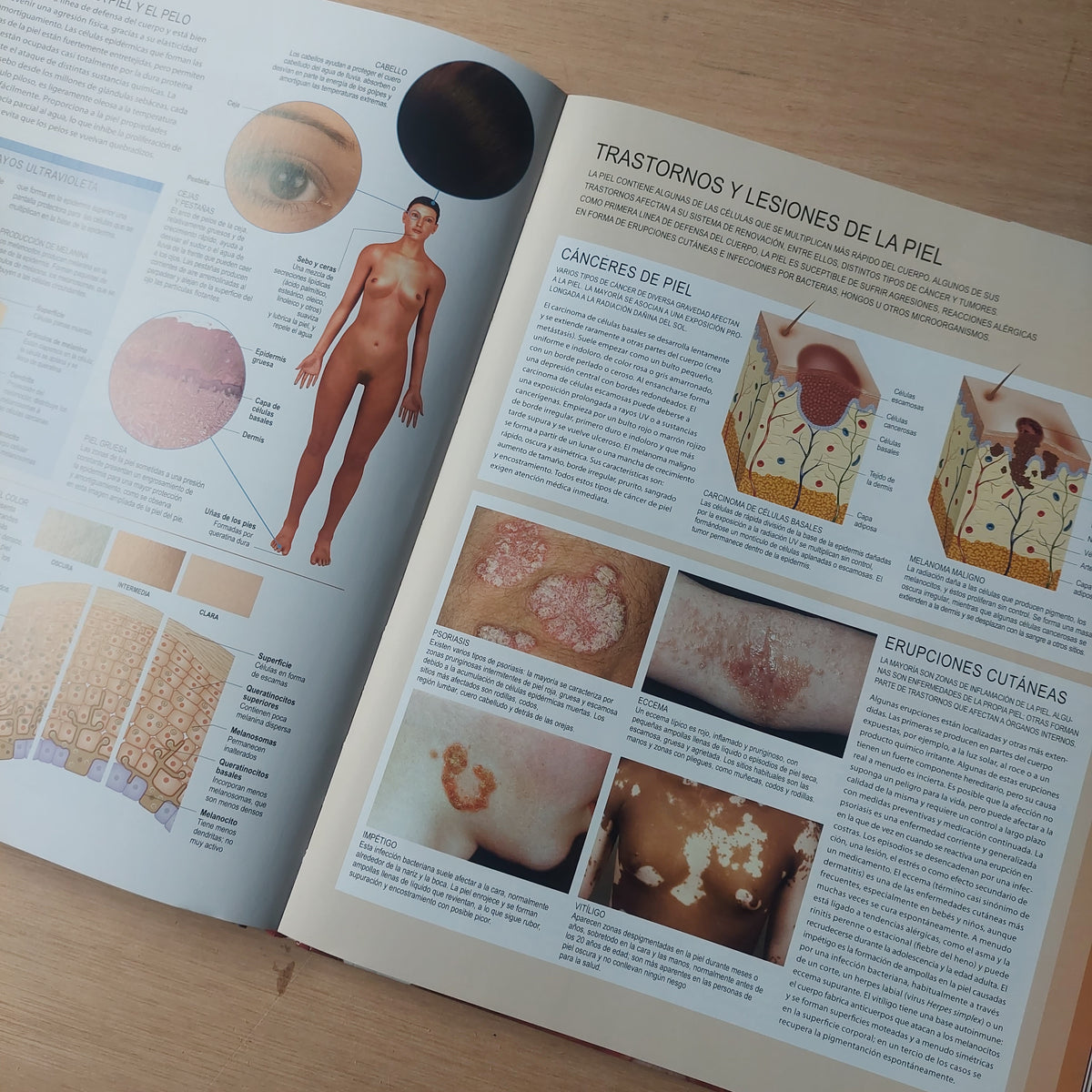 Cuerpo humano. Una guía ilustrada de sus estructuras, funciones y trastornos (con CD)