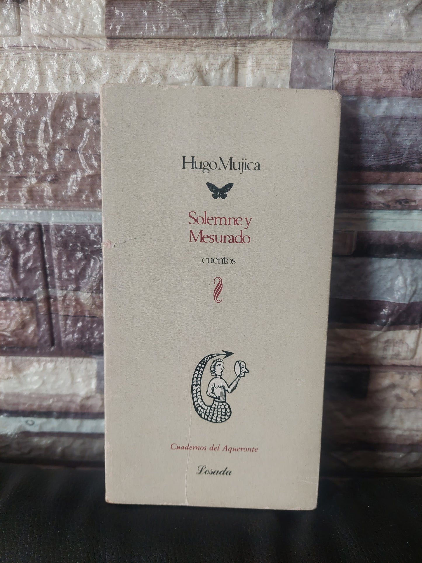 Solemne y Mesurado - Hugo Mujica