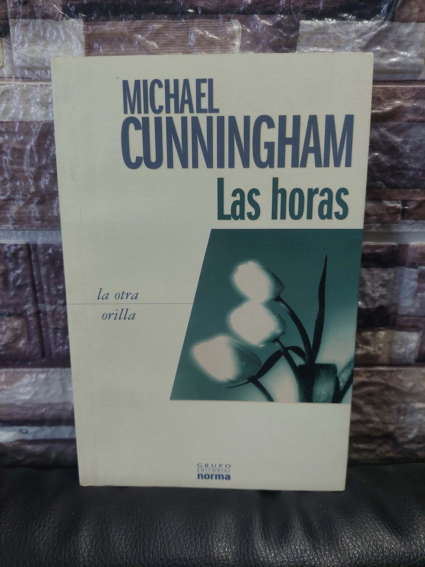 Las horas - Michael Cunningham