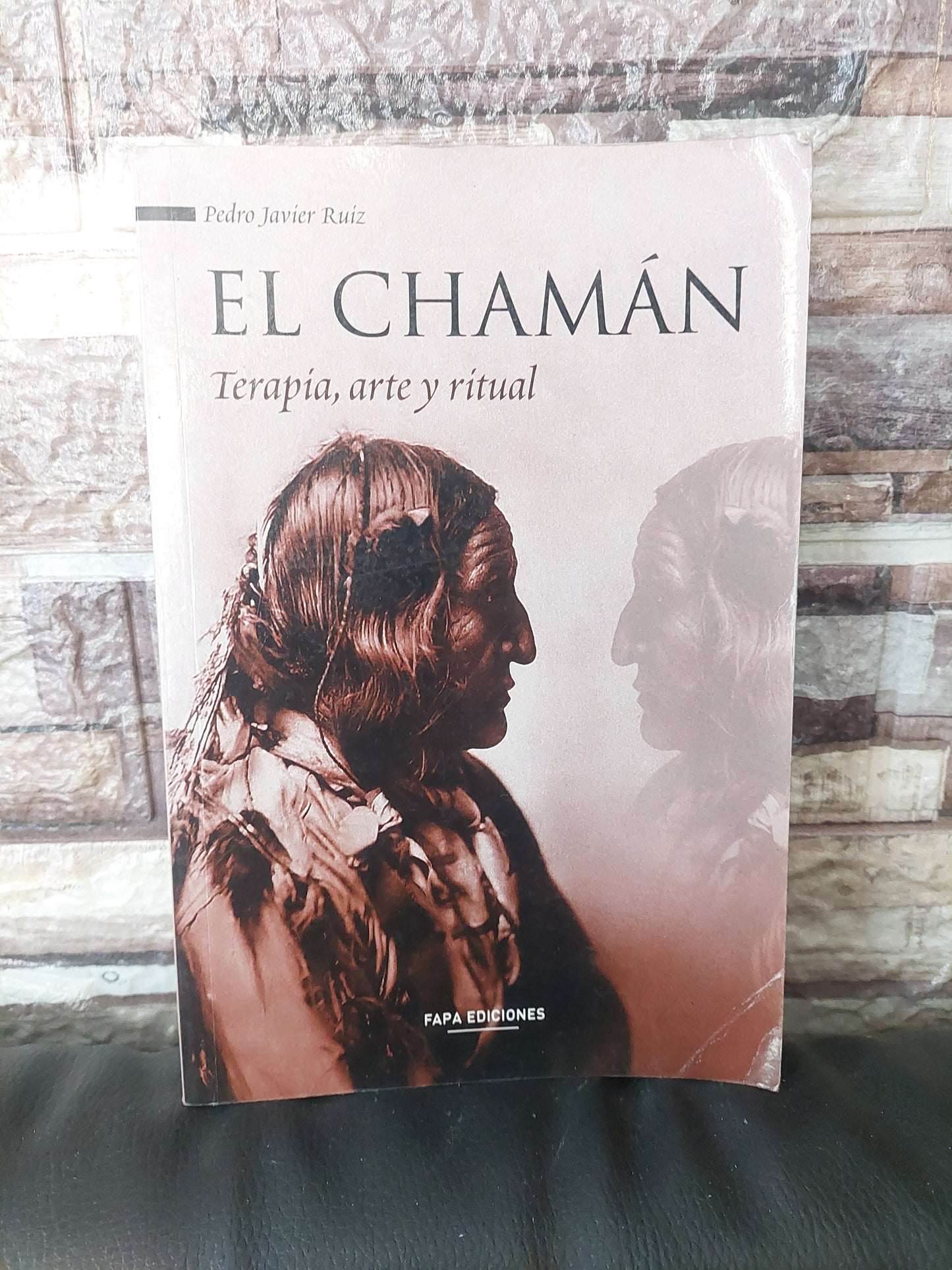 El chamán. Terapia, arte y ritual - Pedro Javier Ruiz