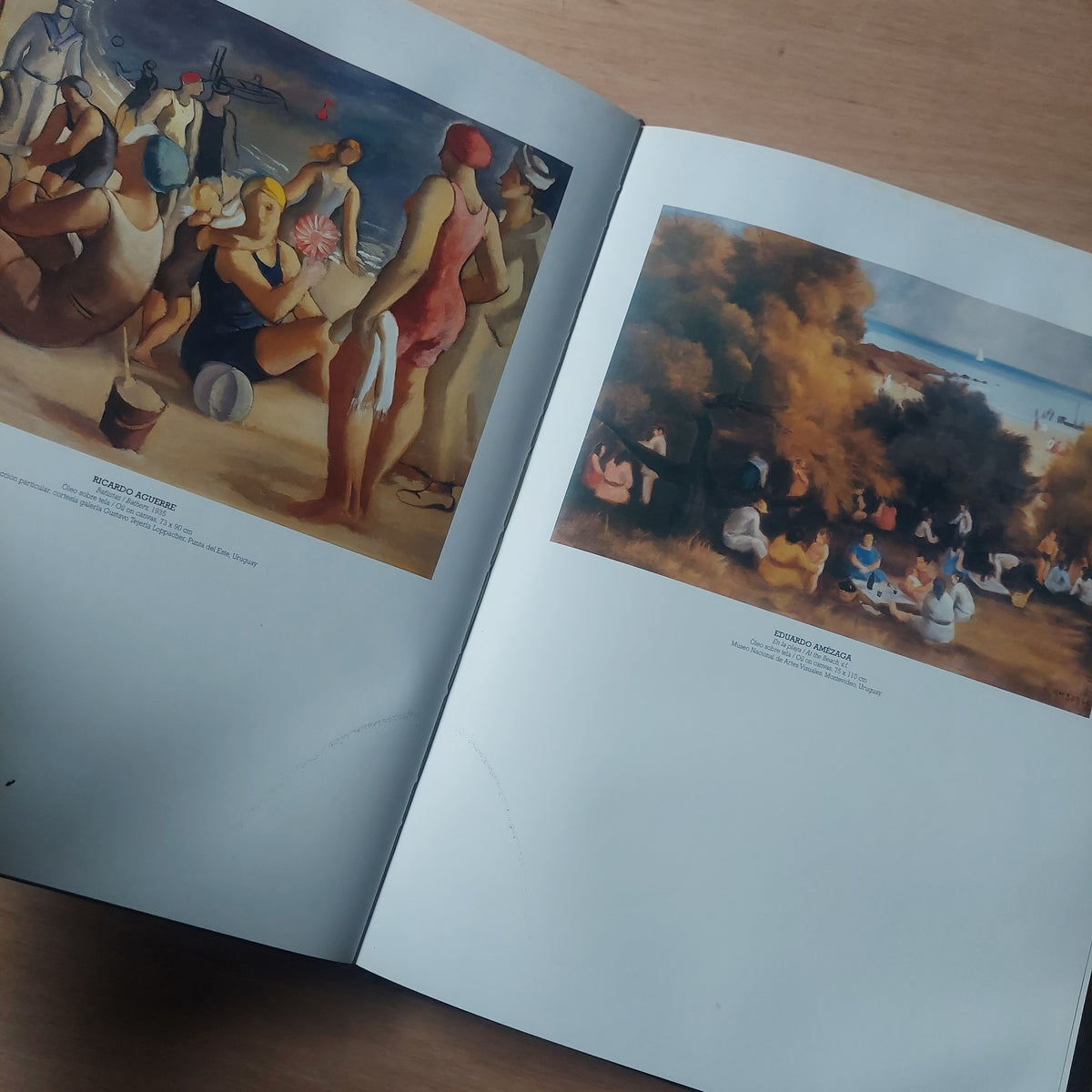 Artes visuales del Uruguay tomo 1 - Ángel Kalenberg (detalles de humedad)