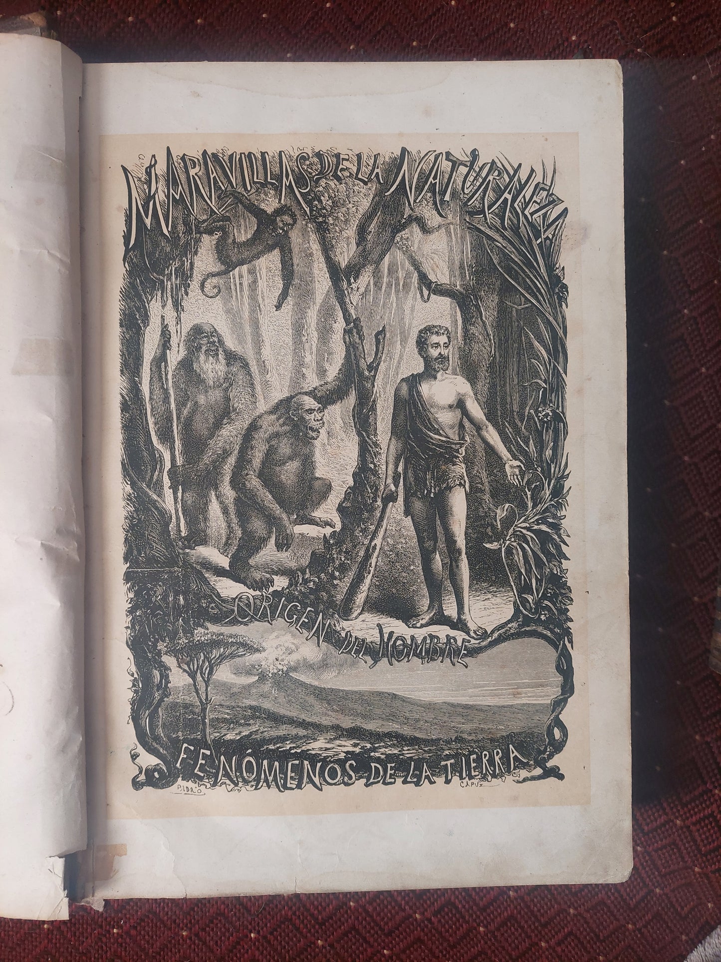 El mundo antes de la creacion del hombre - Figuier y Zimmermann (1872)