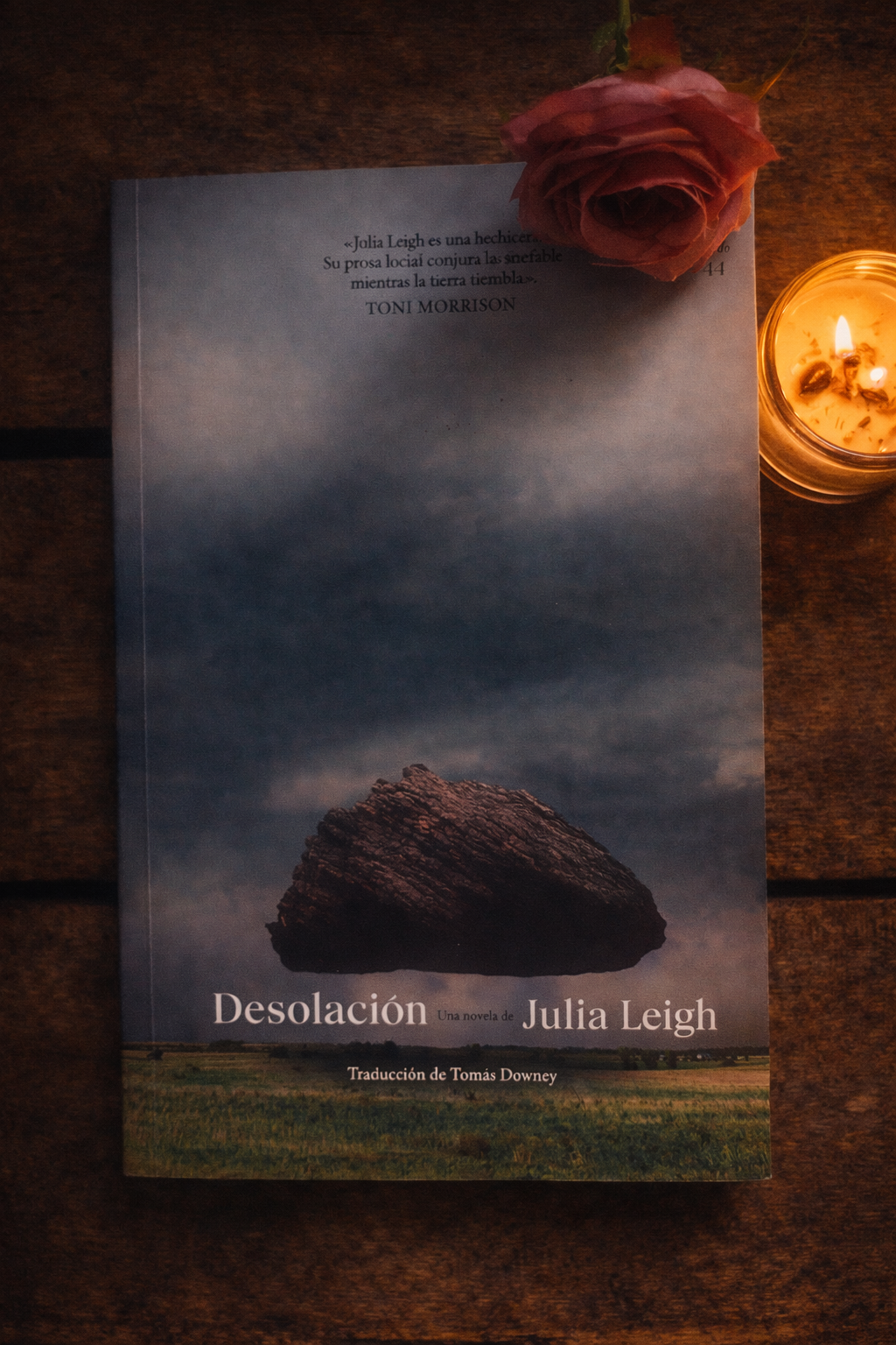Desolación - Julia Leigh (como nuevo)