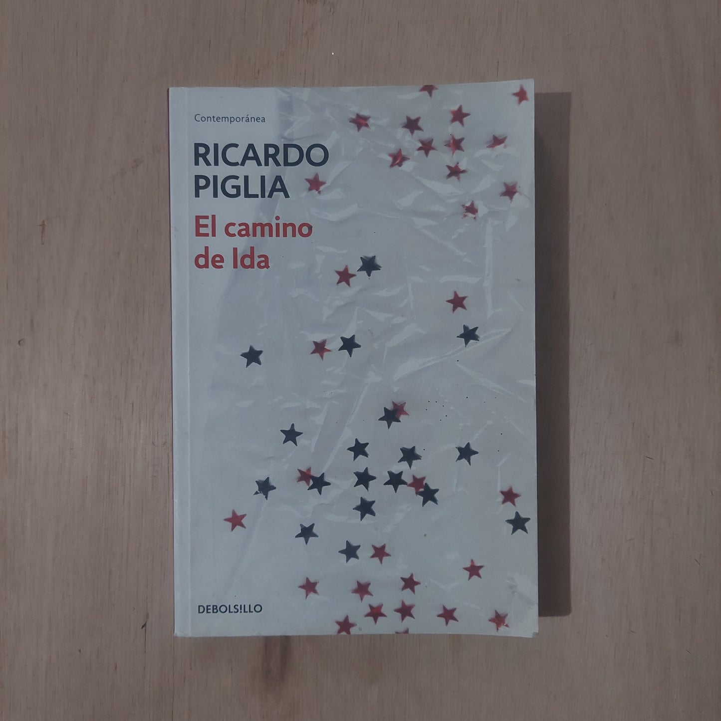 El camino de ida - Ricardo Piglia