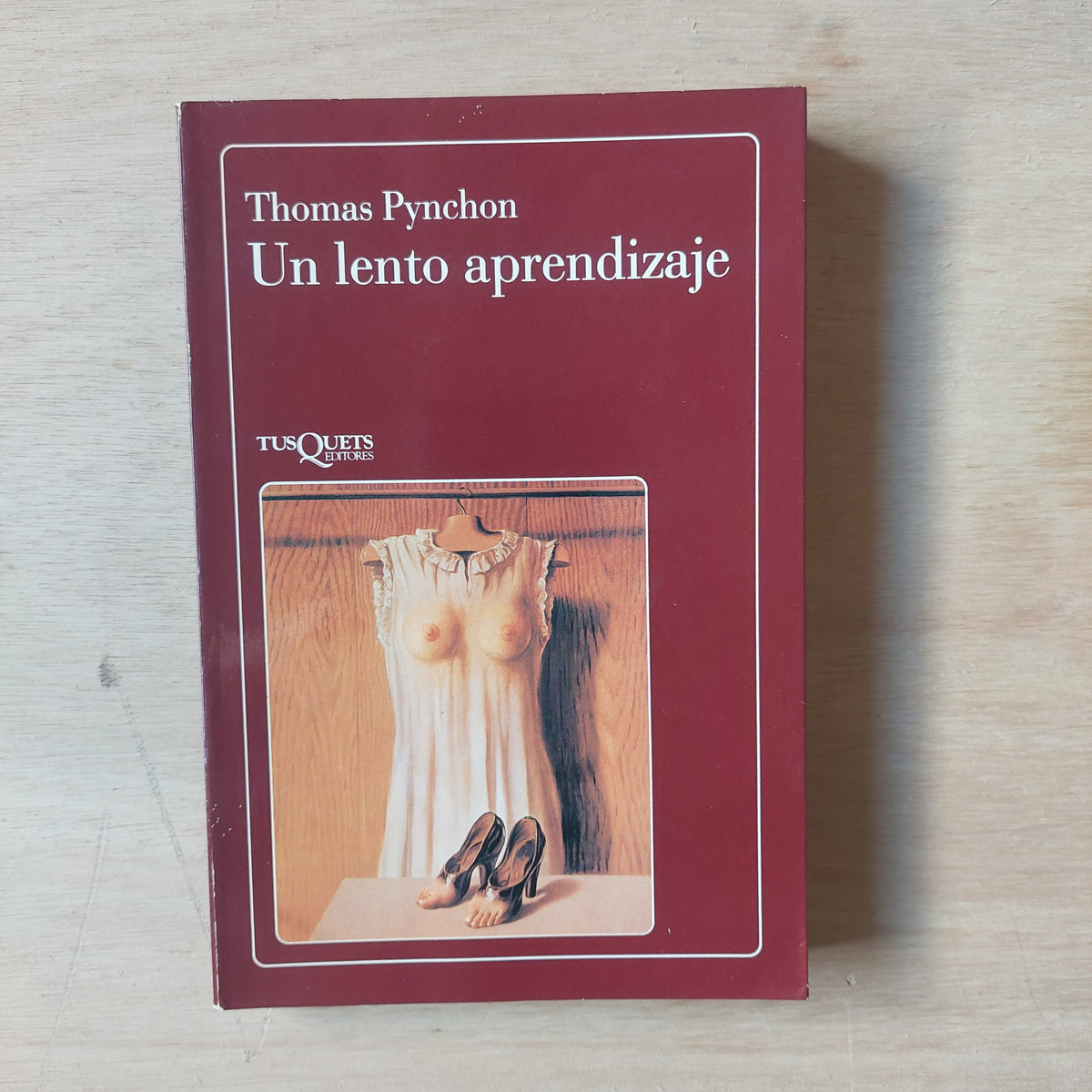 Un lento aprendizaje - Thomas Pynchon
