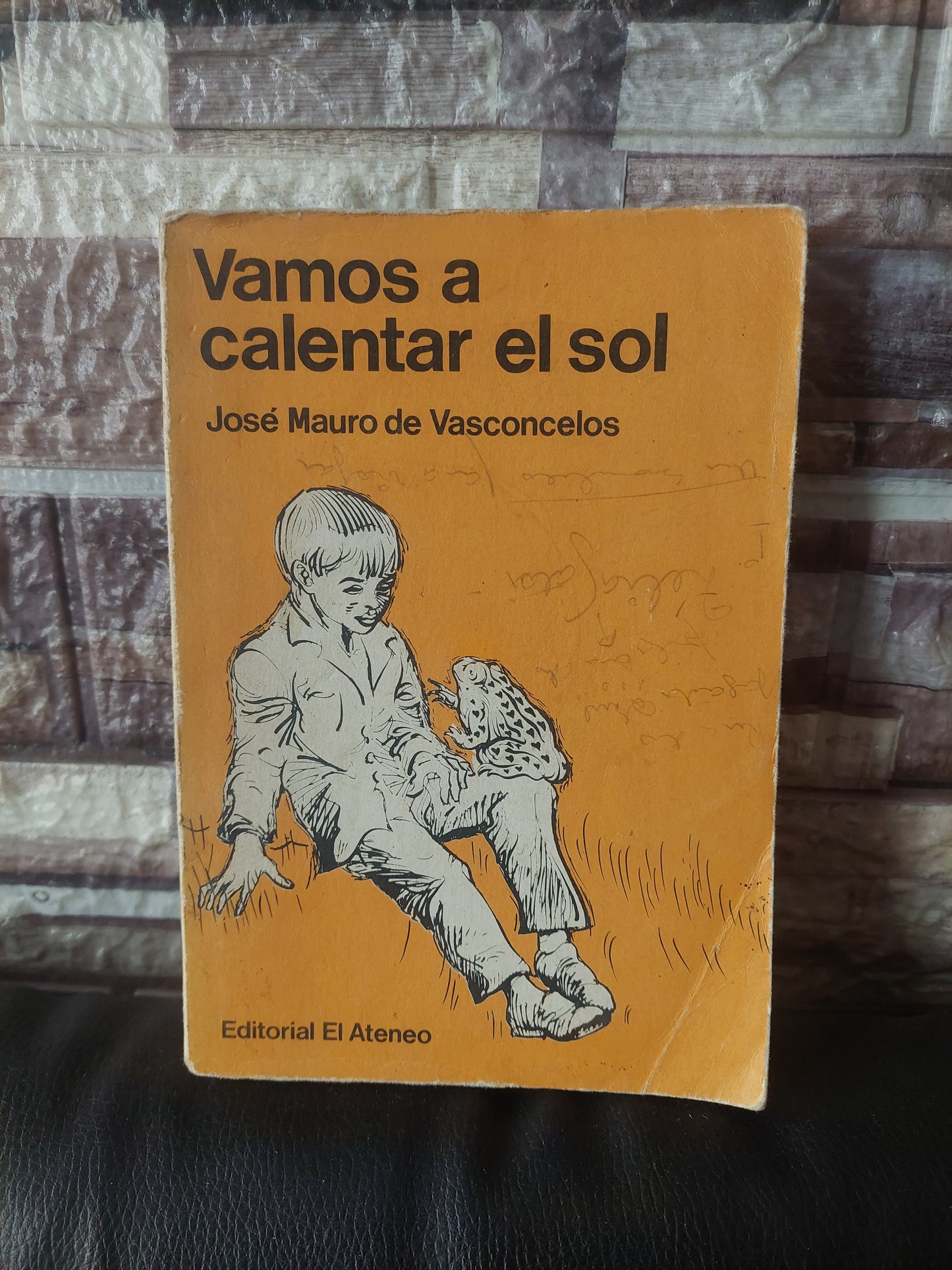 Vamos a calentar el sol - José Mauro de Vasconcelos