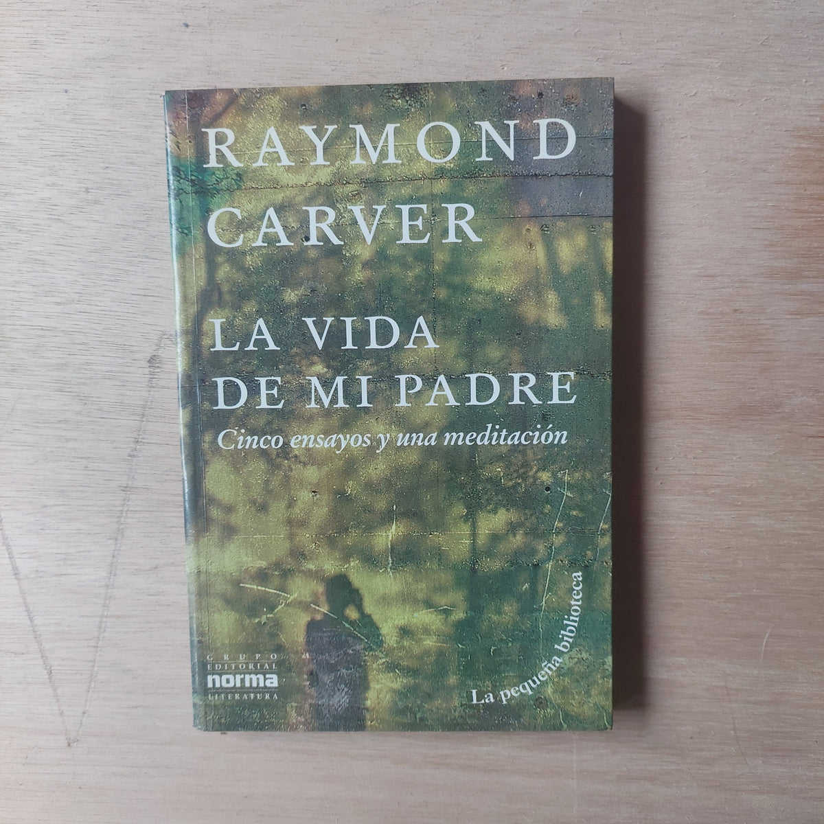 La vida de mi padre. Cinco ensayos y una meditación - Raymond Carver