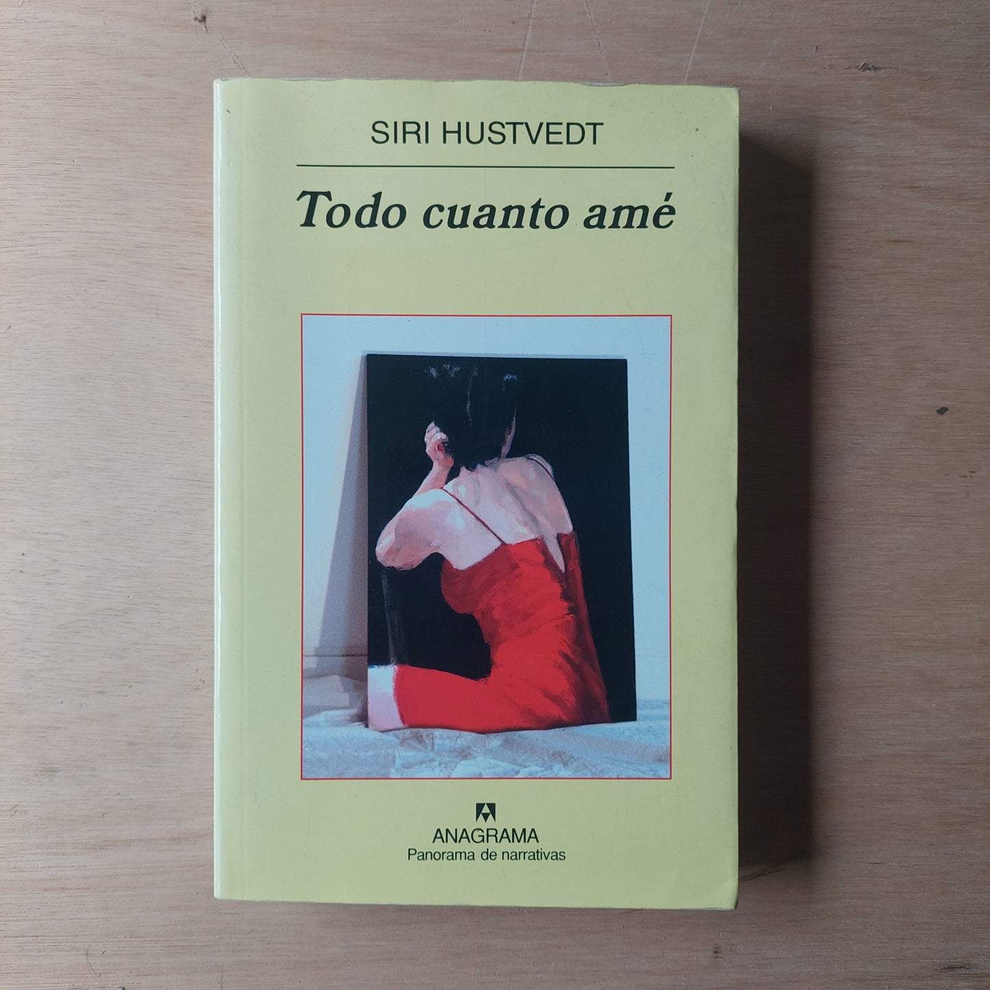 Todo cuanto amé - Siri Hustvedt