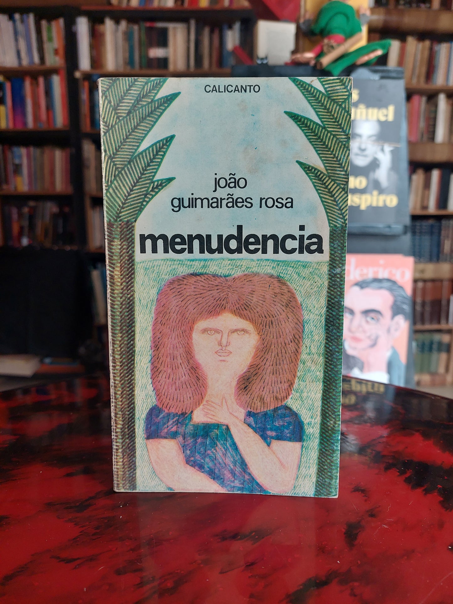 Menudencia - Joao Guimaraes Rosa