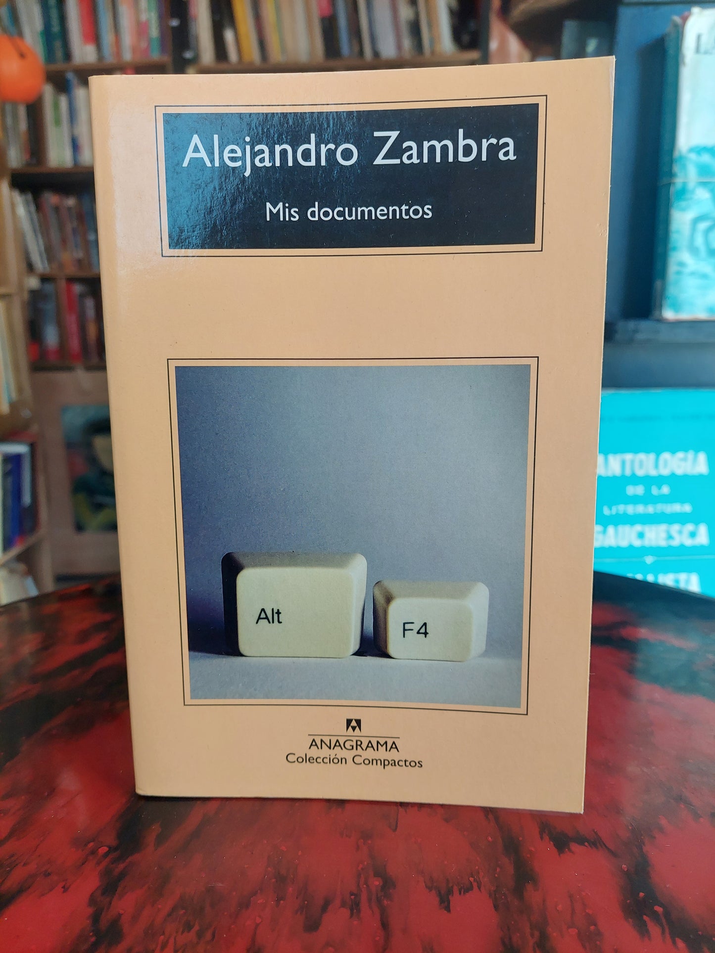 Mis documentos - Alejandro Zambra