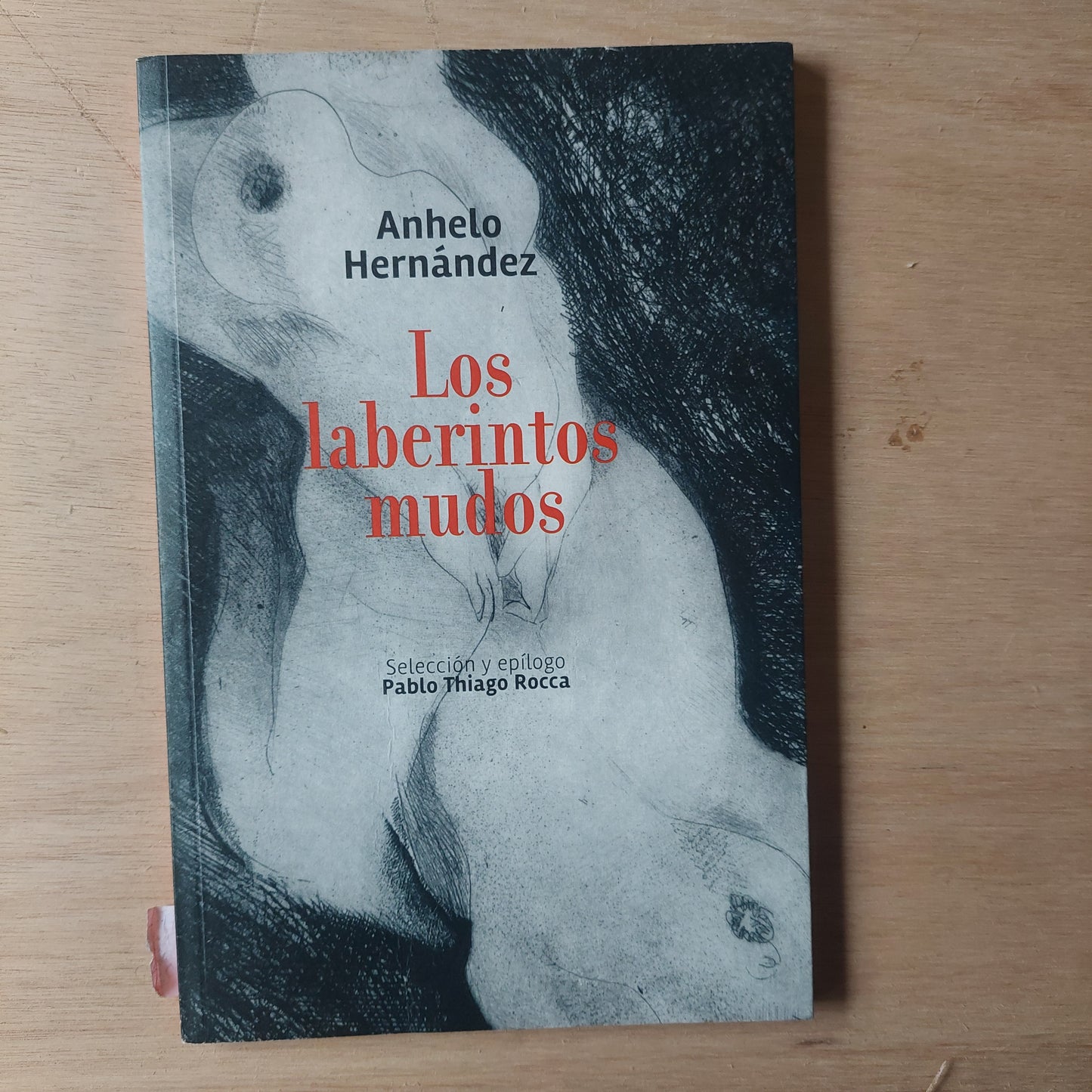Los laberintos mudos - Anhelo Hernández