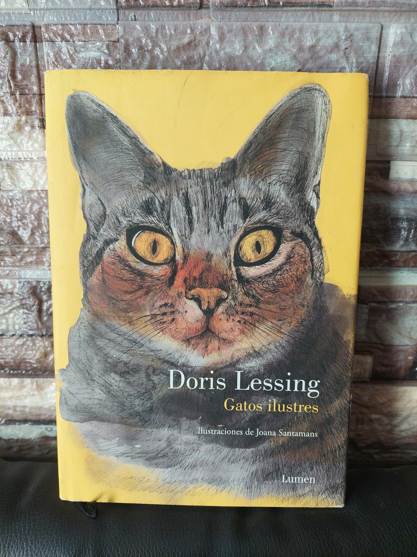 Gatos ilustres - Doris Lessing
