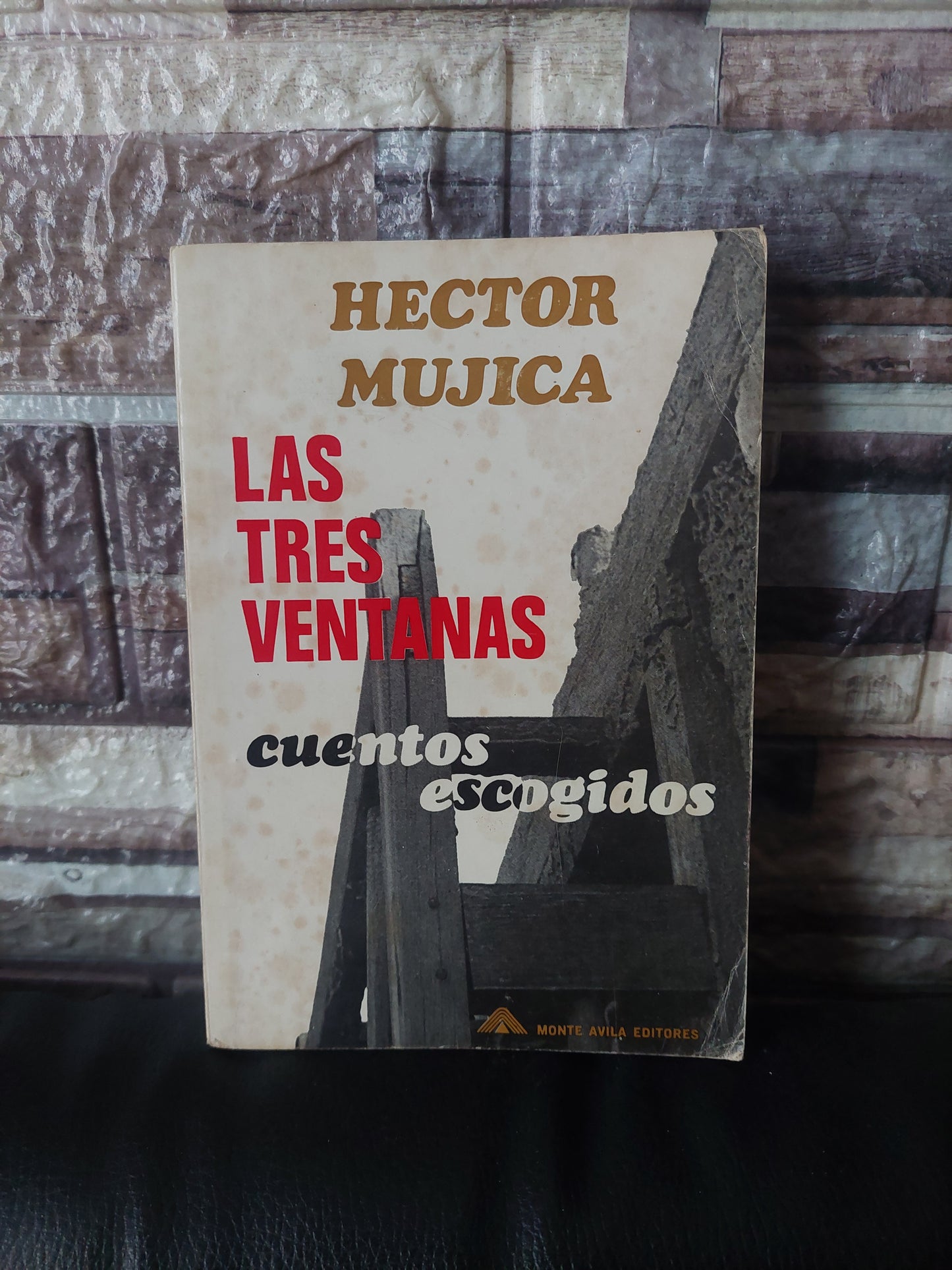 Las tres ventanas. Cuentos escogidos - Héctor Mujica