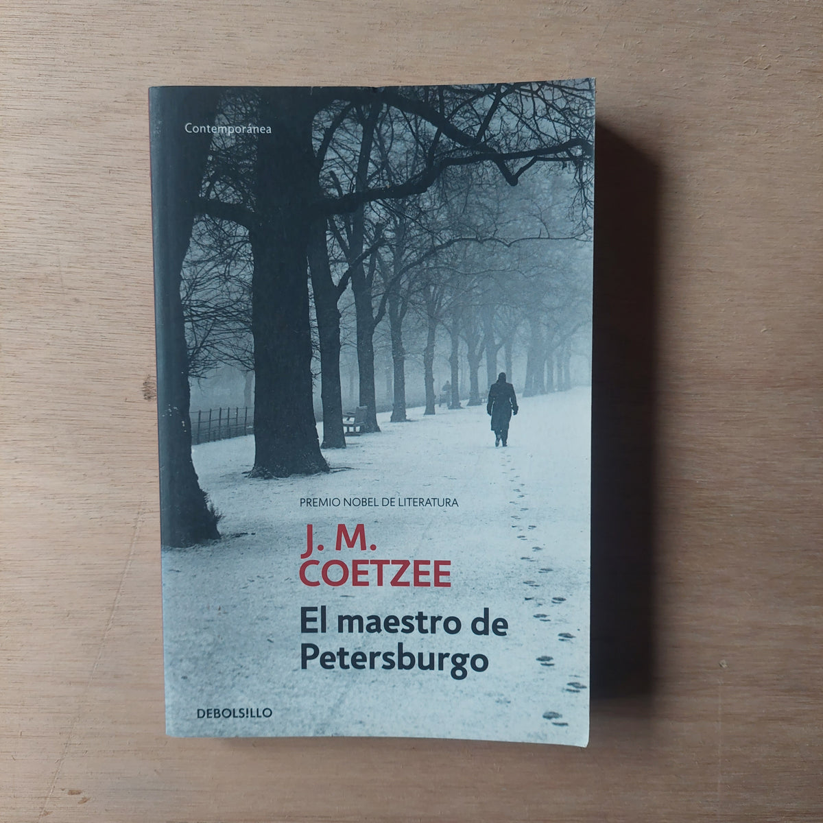 El maestro de Petersburgo - J.M. Coetzee
