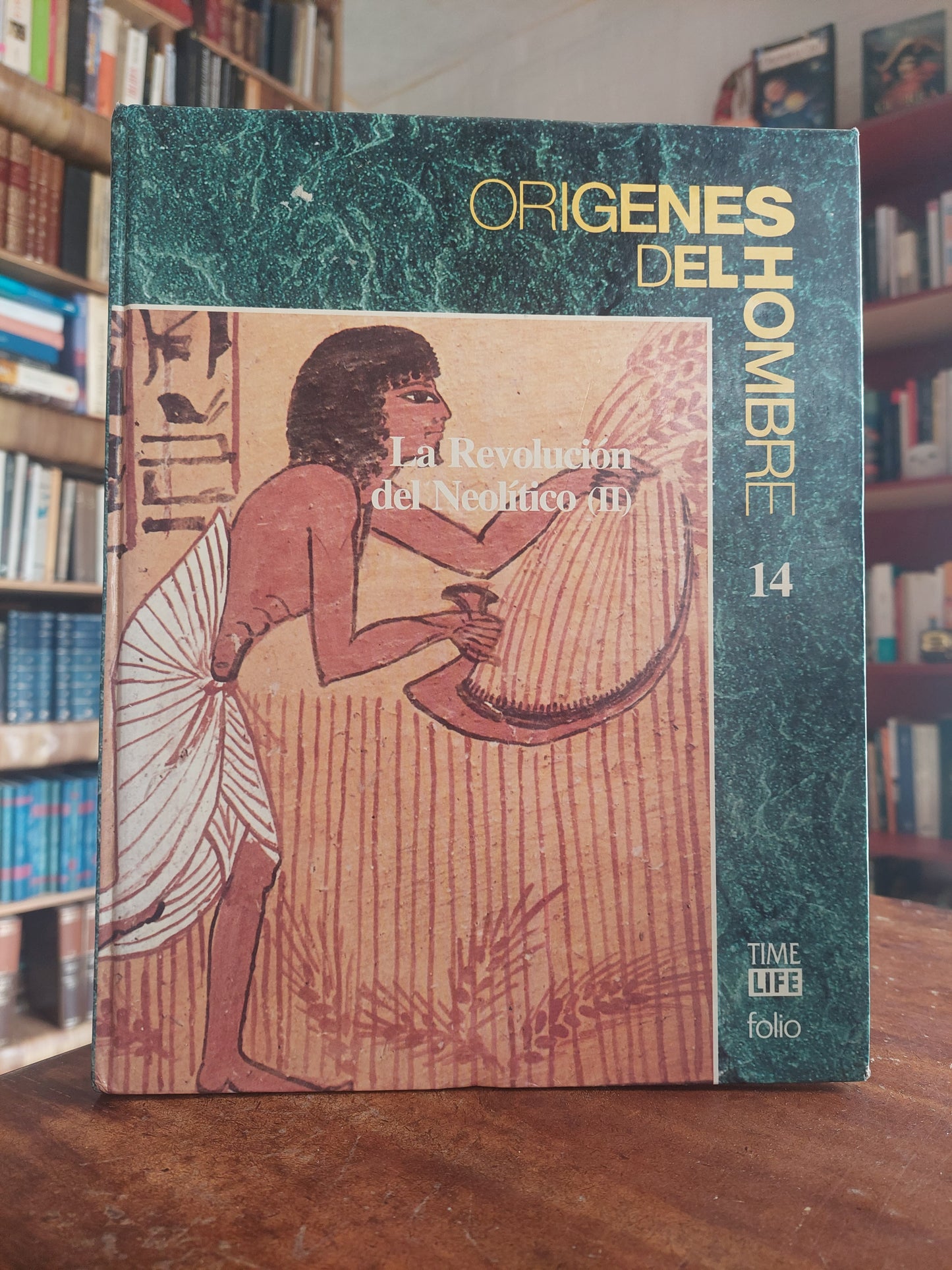 Orígenes del hombre. La revolución del Neolitico II
