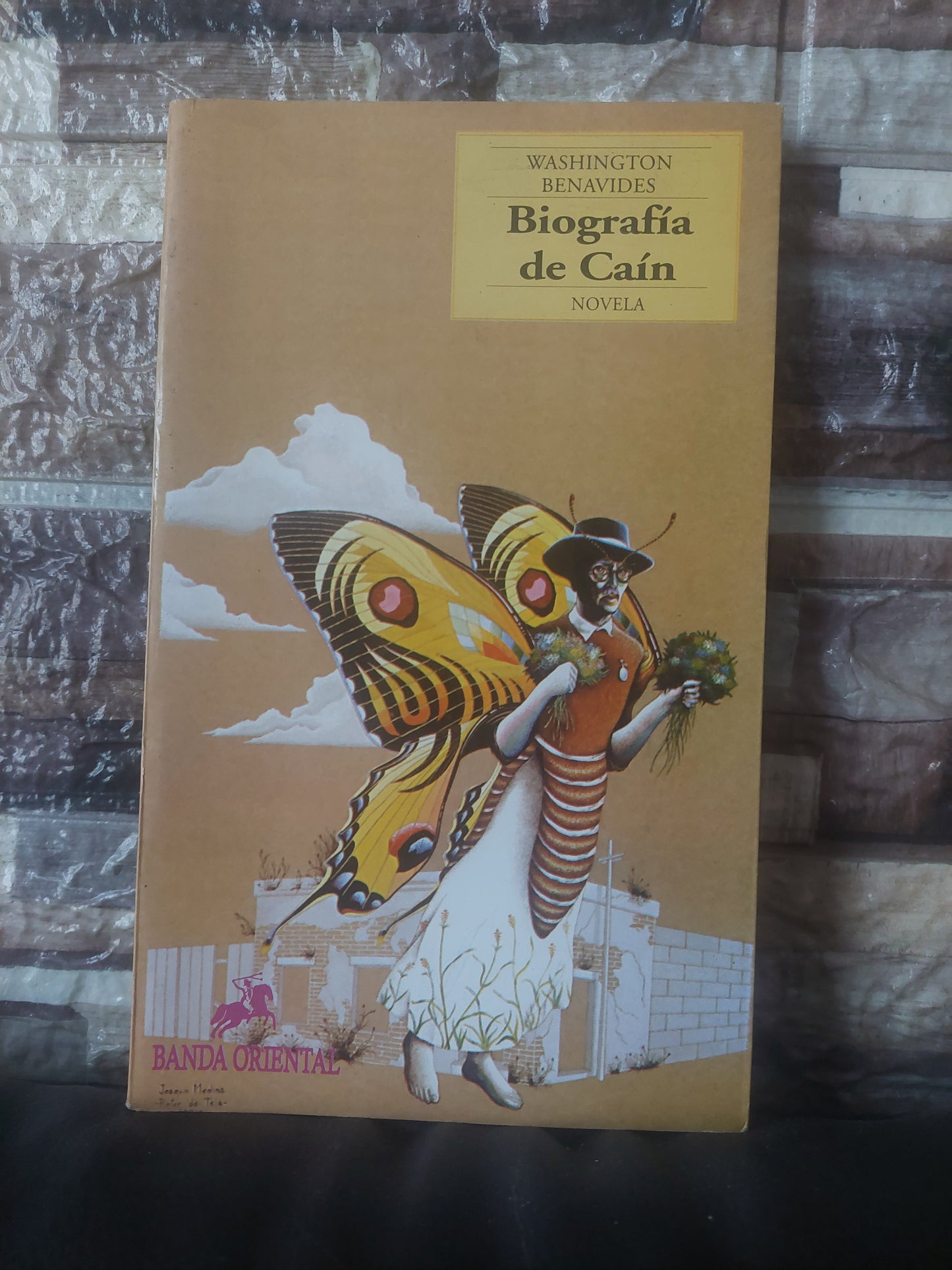 Biografía de Caín - Washington Benavides