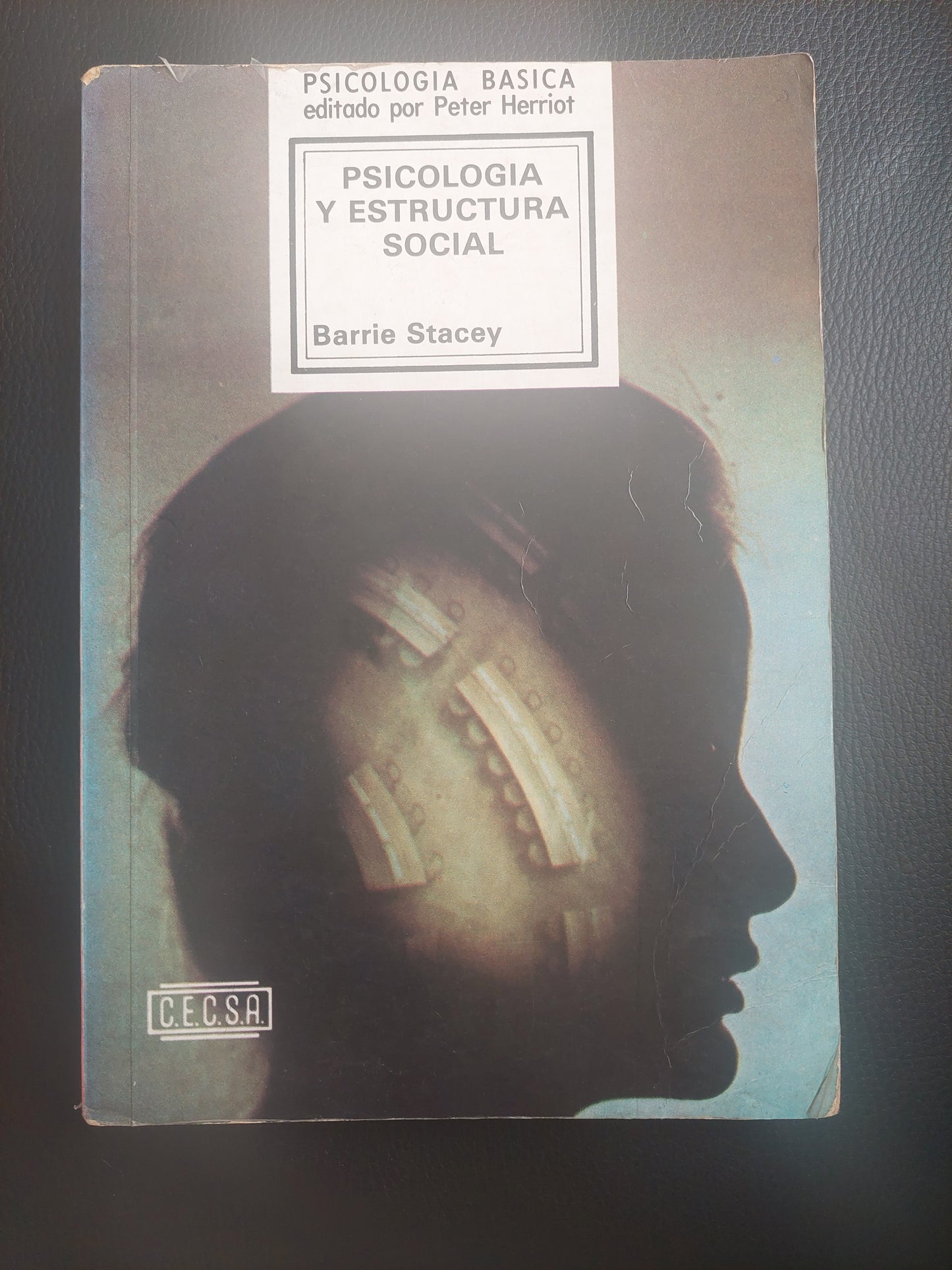 Psicología y estructura social - Barrie Stacey