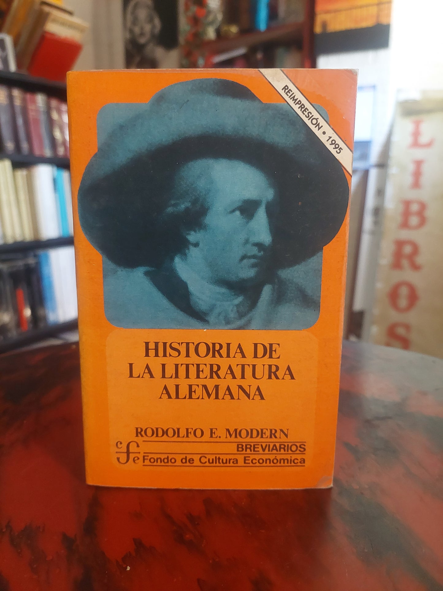 Historia de la literatura alemana - Rodolfo E. Modern