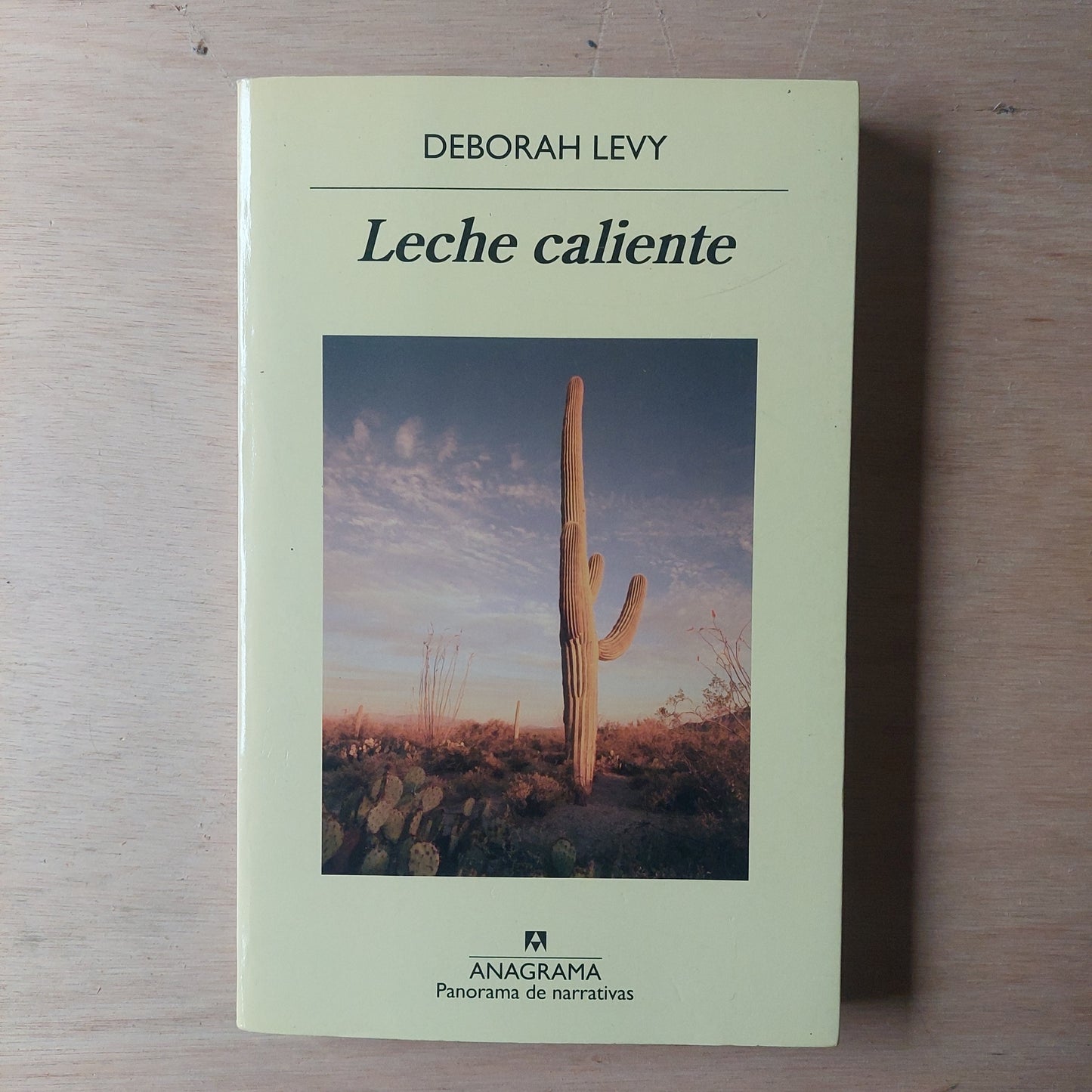 Leche caliente - Deborah Levy