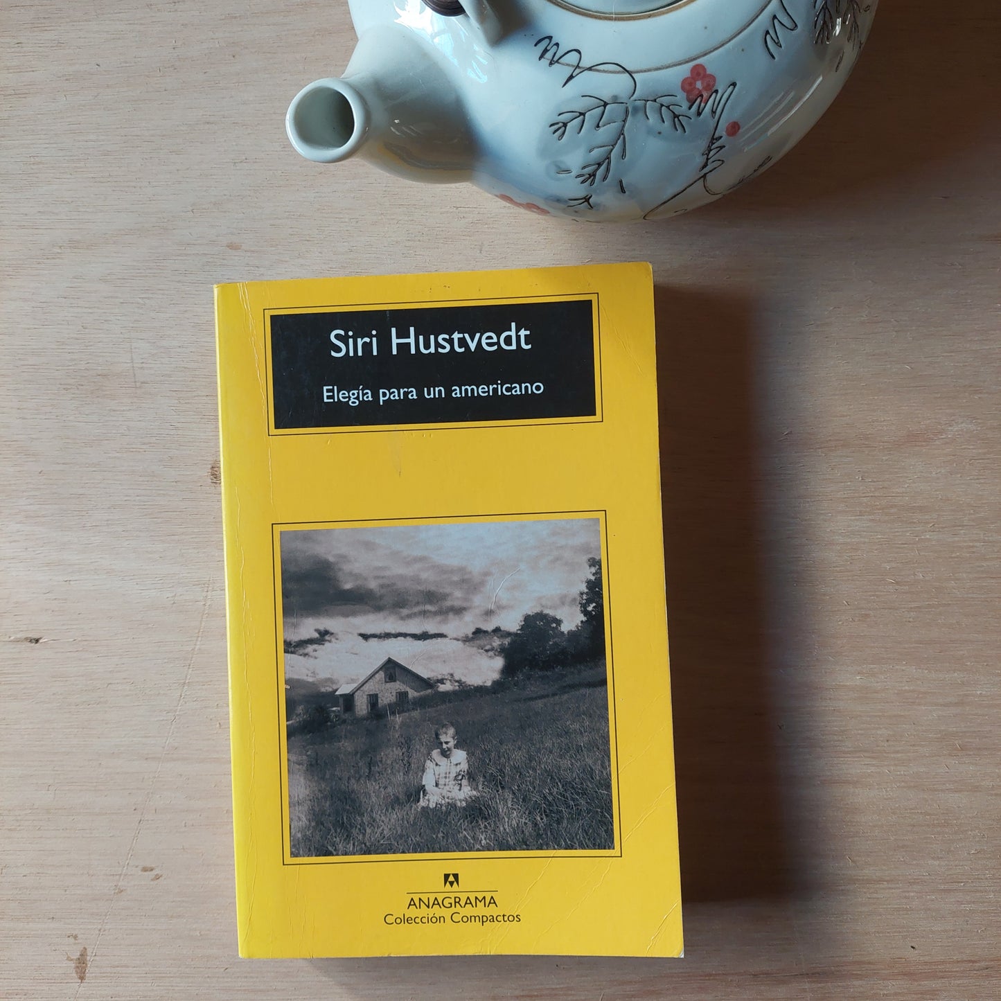 Elegía para un americano - Siri Hustvedt