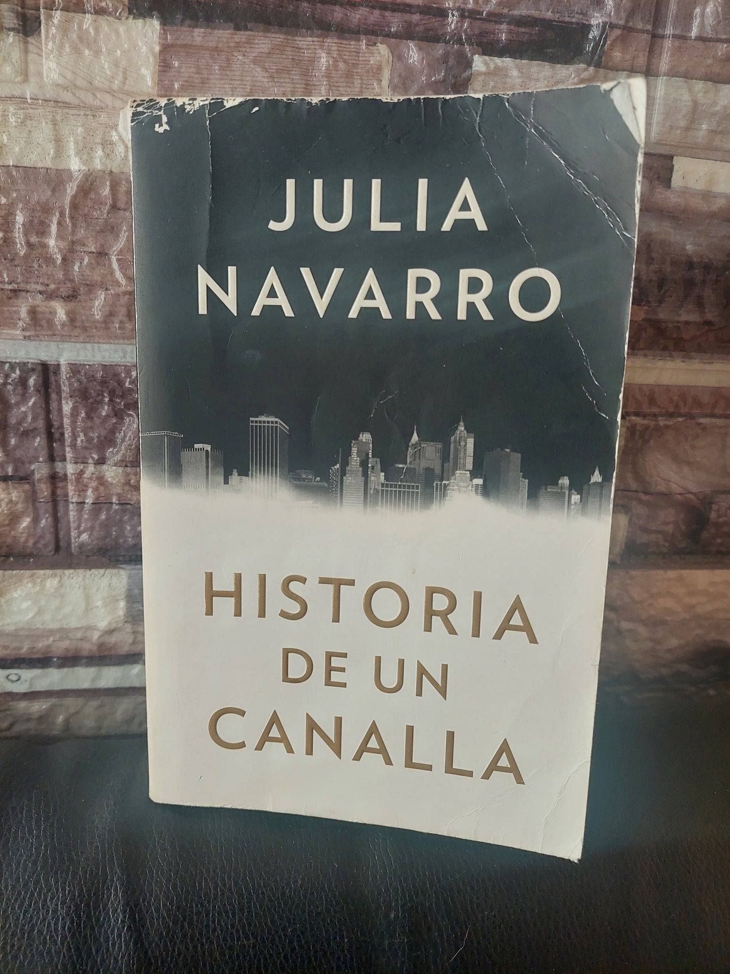 Historia de un canalla - Julia Navarro